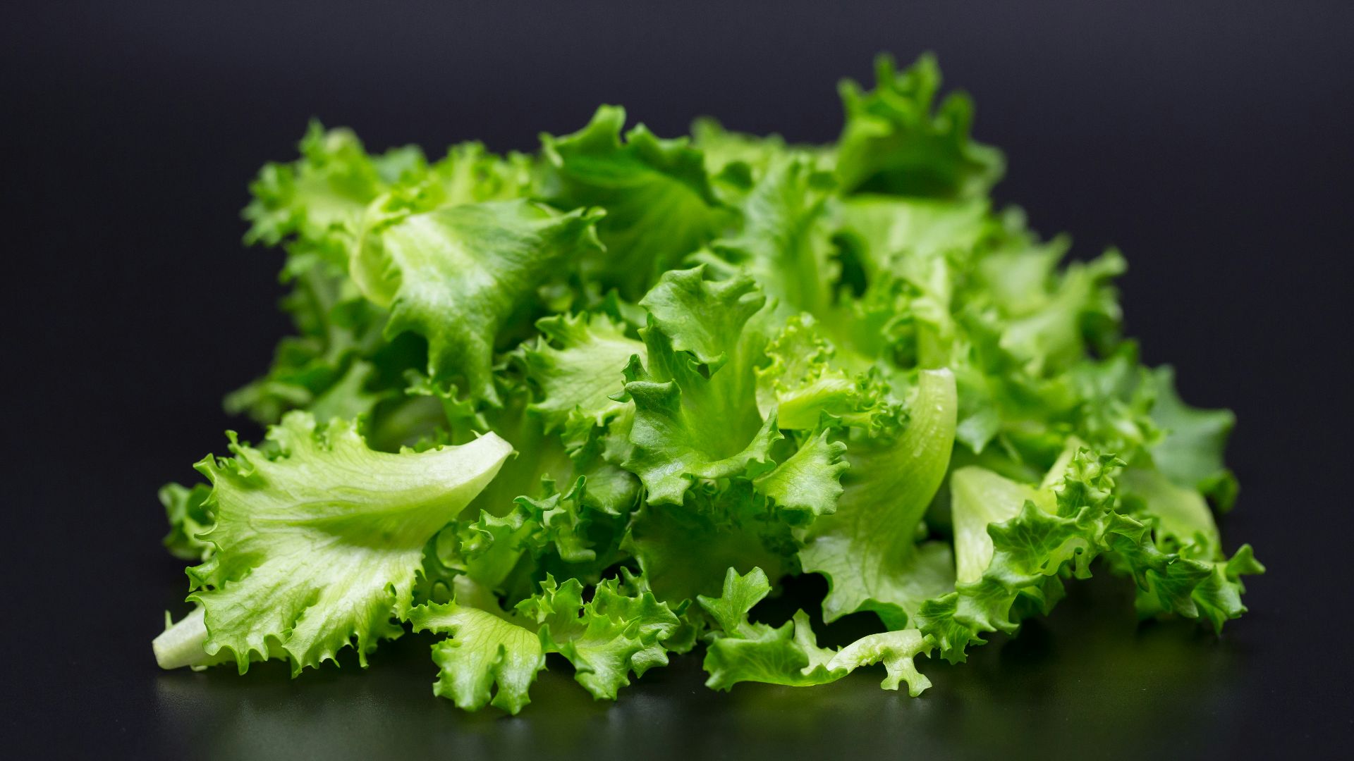 green leaves in close up photography