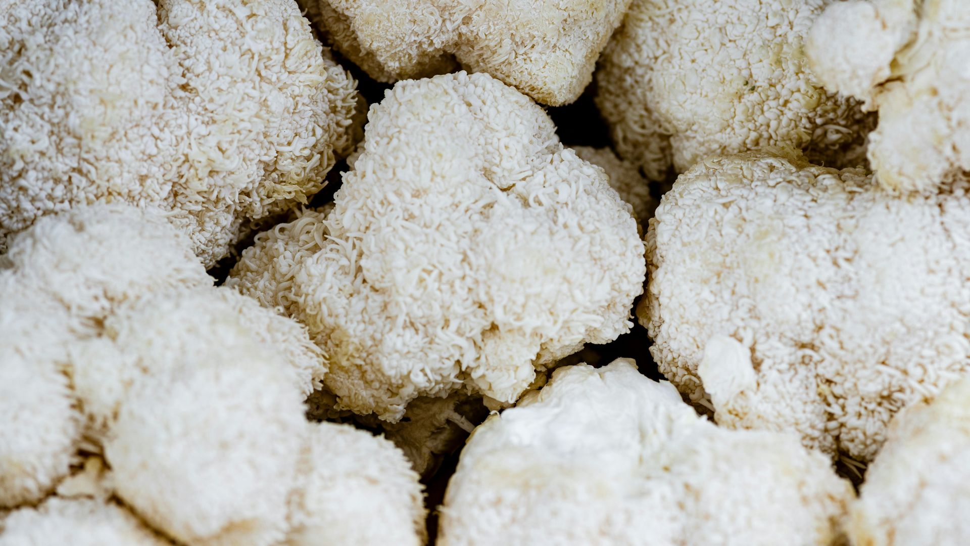 white cotton on brown wooden table