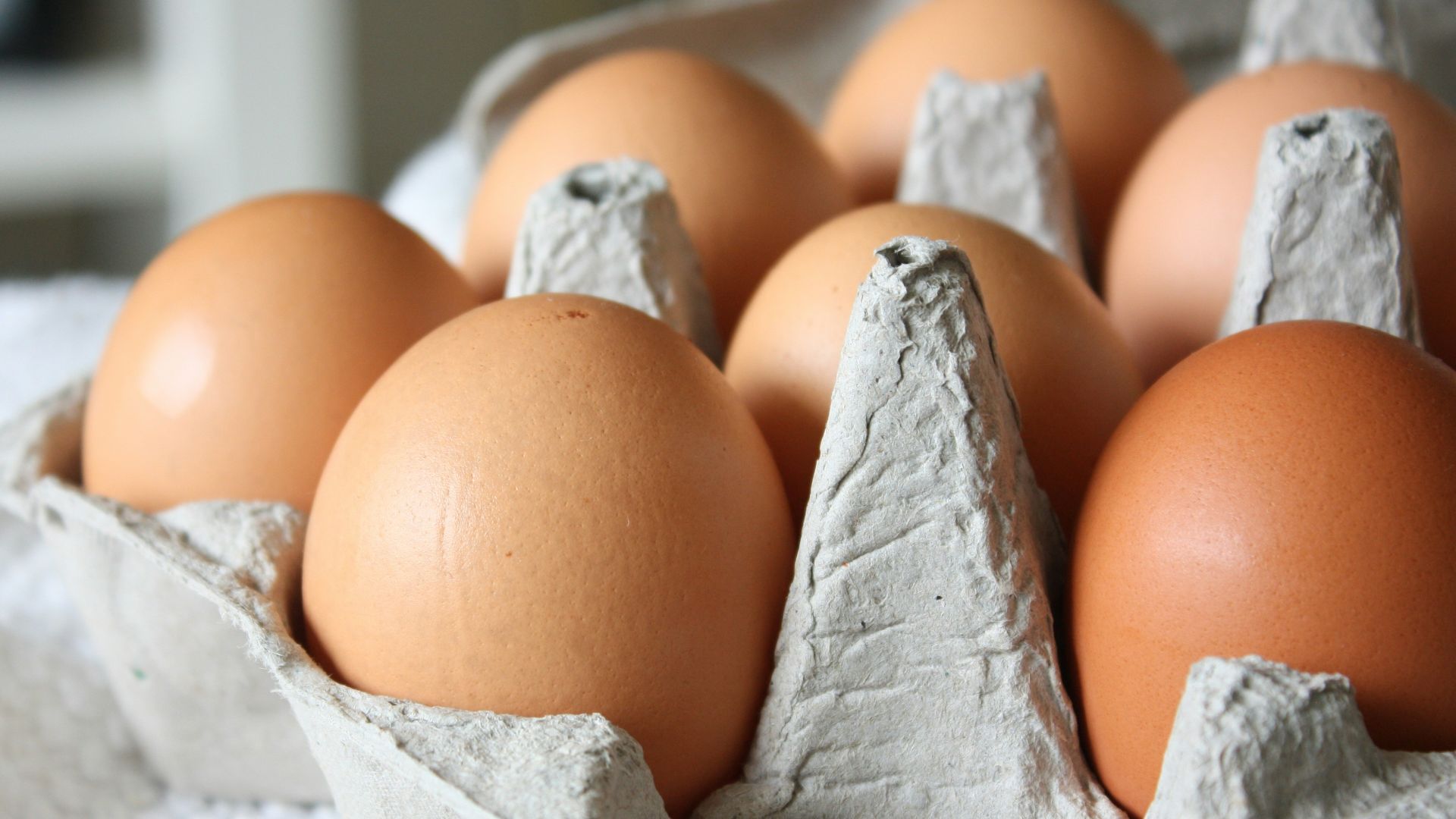 brown egg on white paper towel