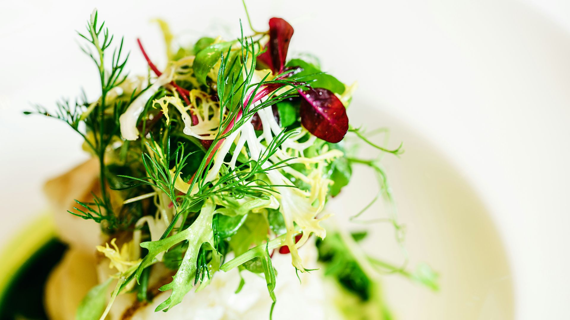red cherry fruit on white ceramic plate
