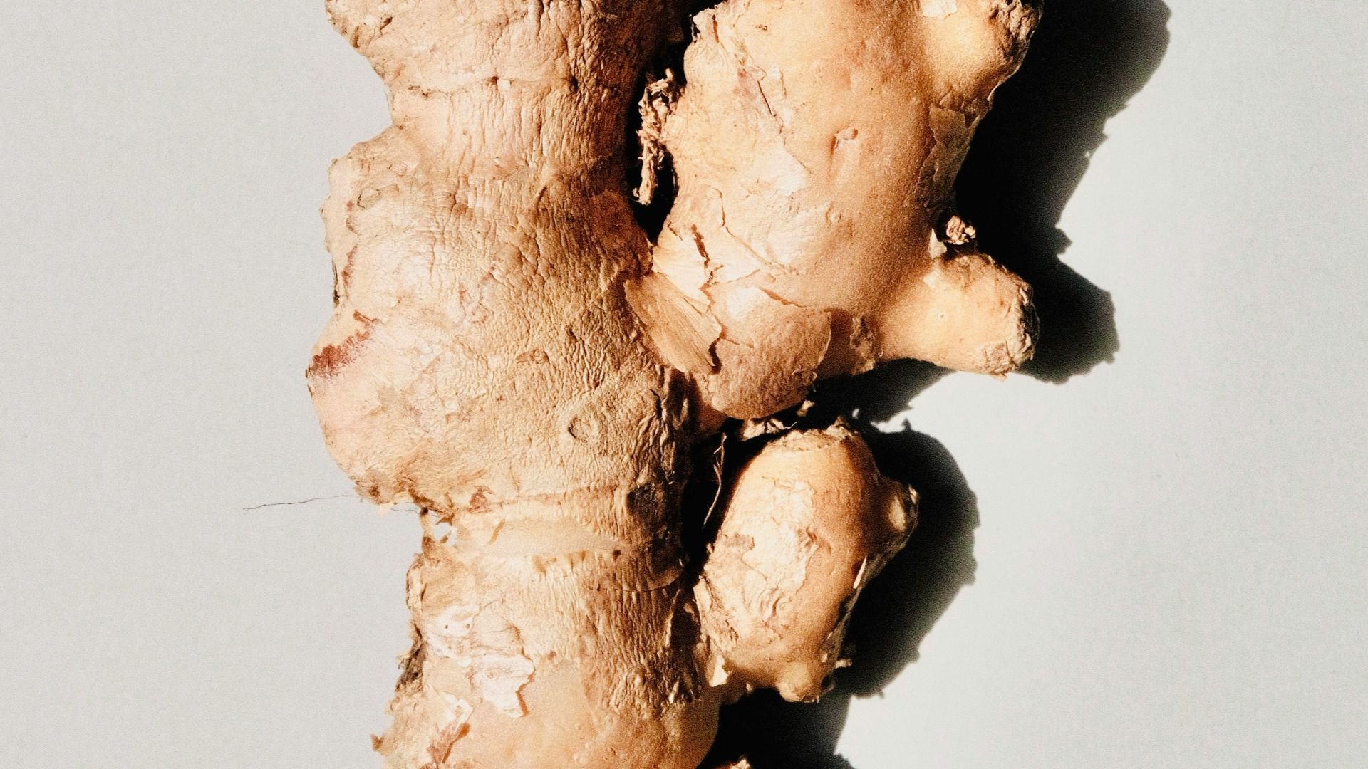 brown and white stone fragment