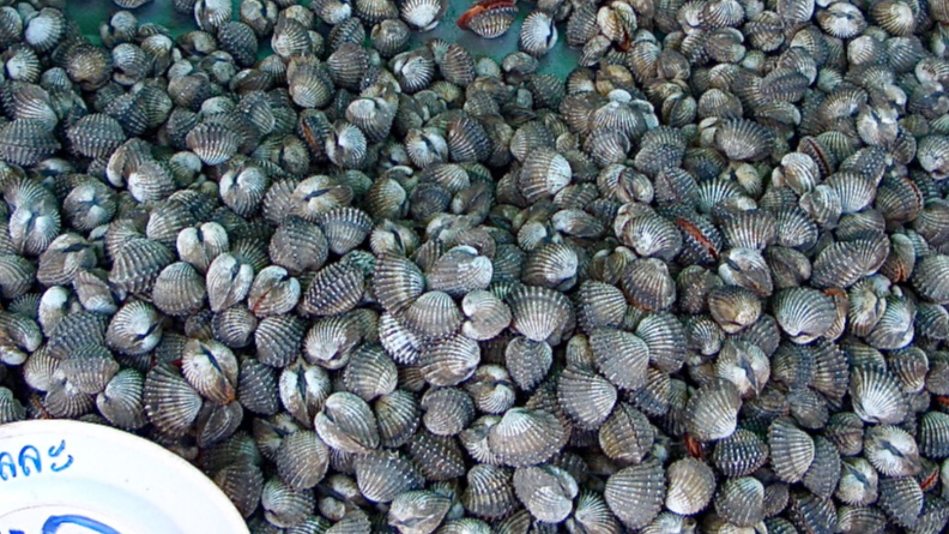 File:197 - CIMG0830.jpg