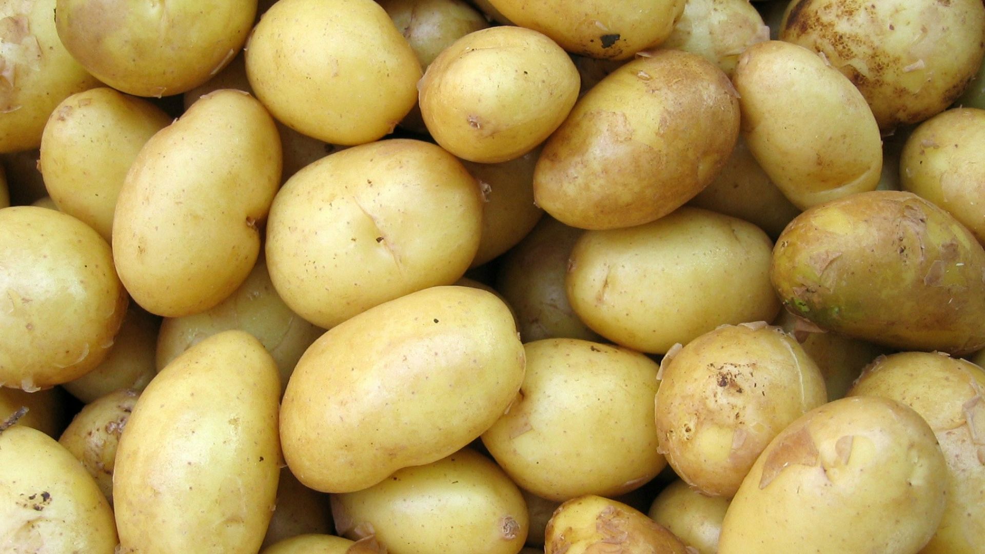 potatoes