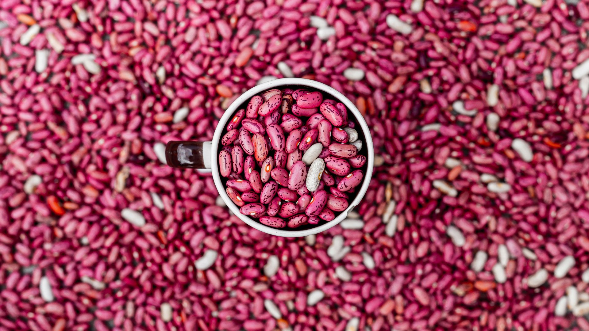 A white cup filled with pink beans