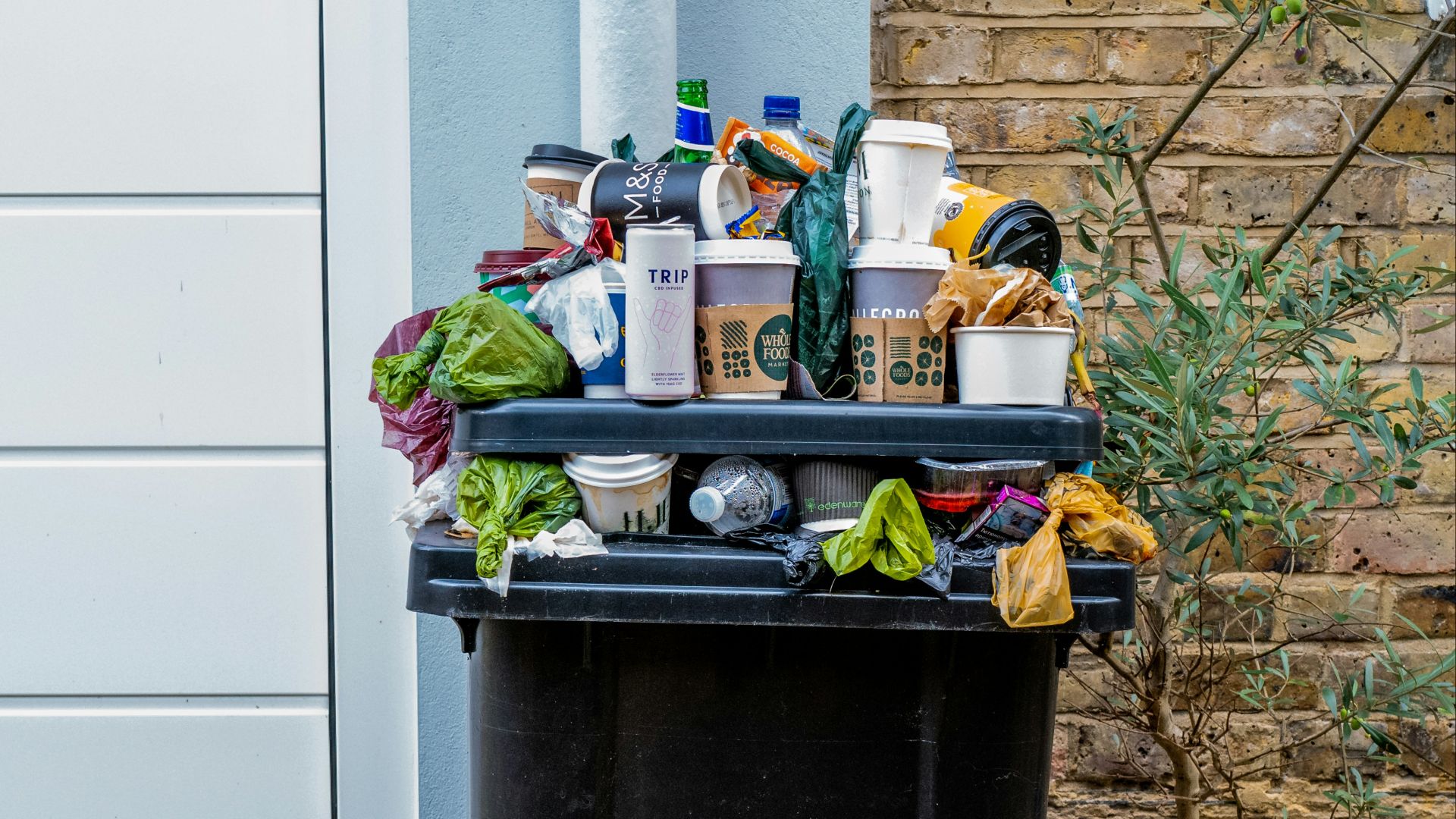 black trash bin with green leaves