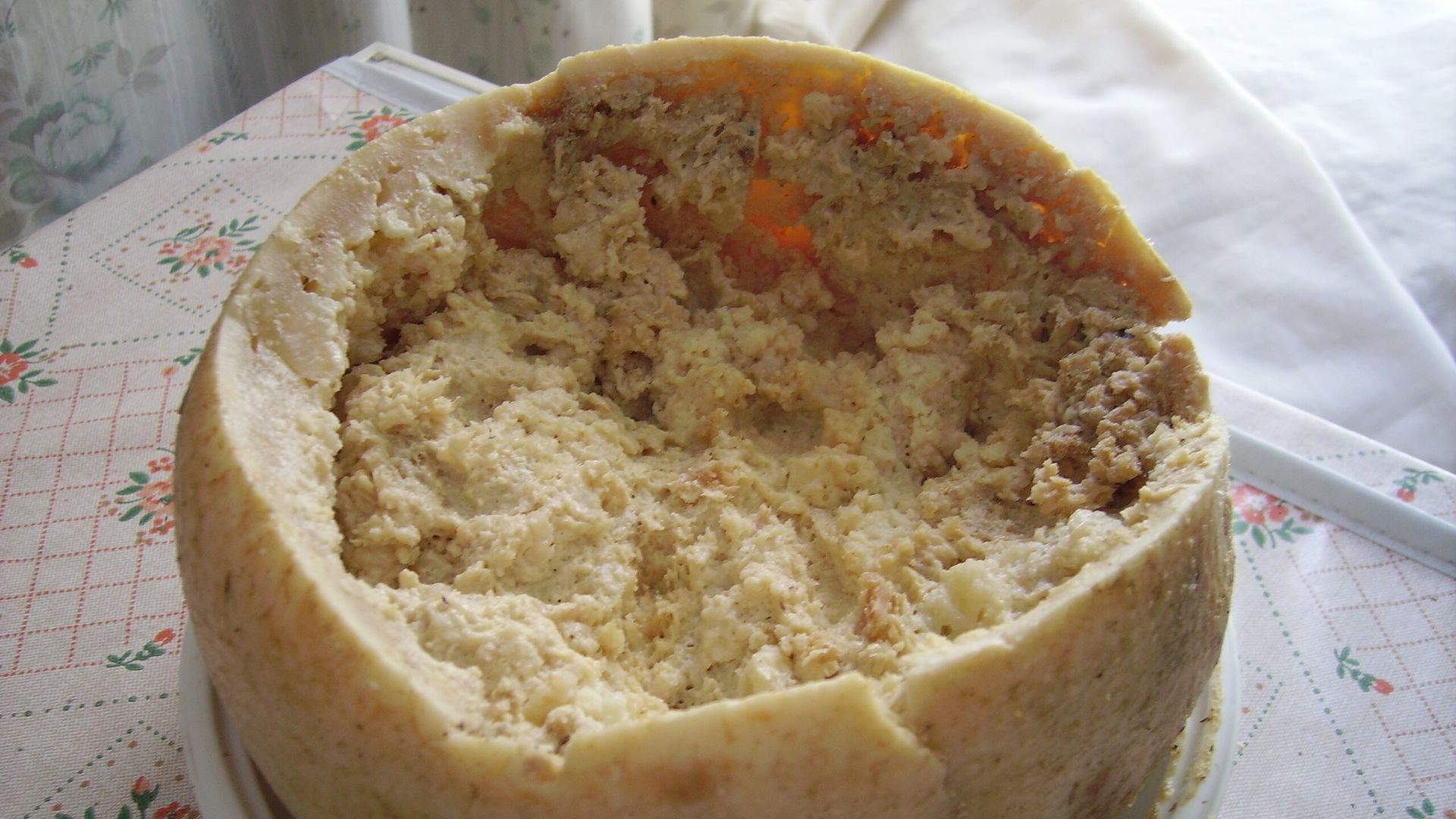 Fasciculus:Casu Marzu cheese.jpg - Vicipaedia