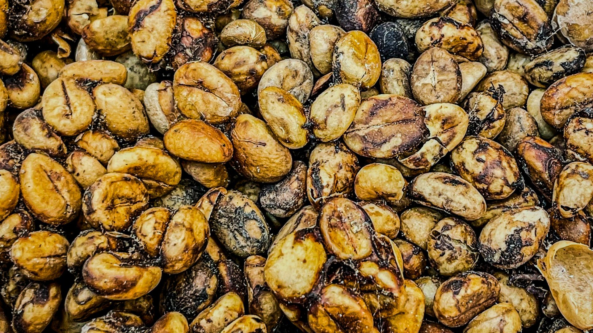 A close up of a bunch of nuts