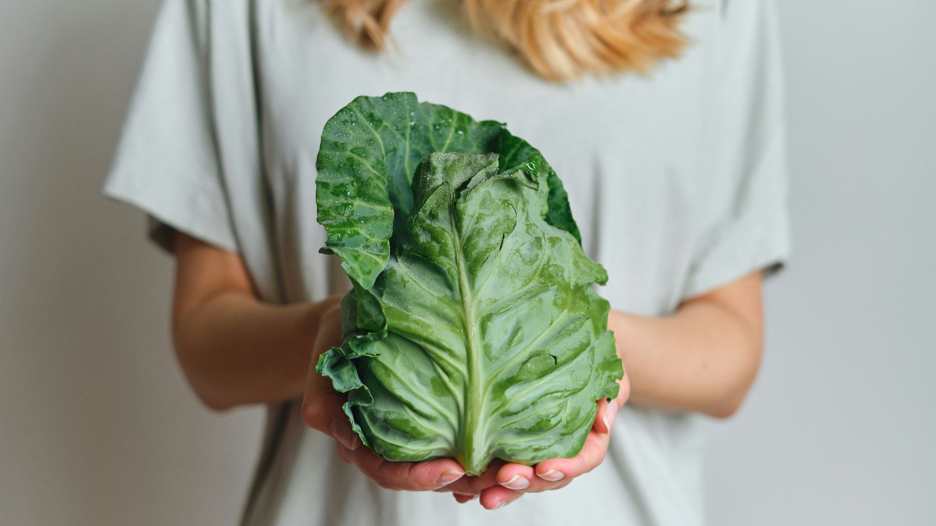 Person holding a fresh green cabbage