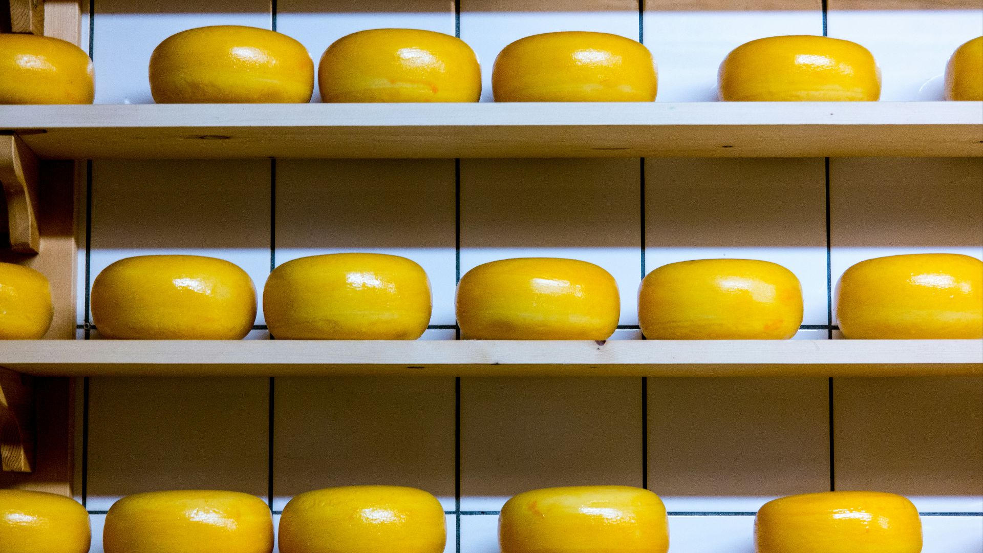 yellow cheese lot on brown wooden shelf