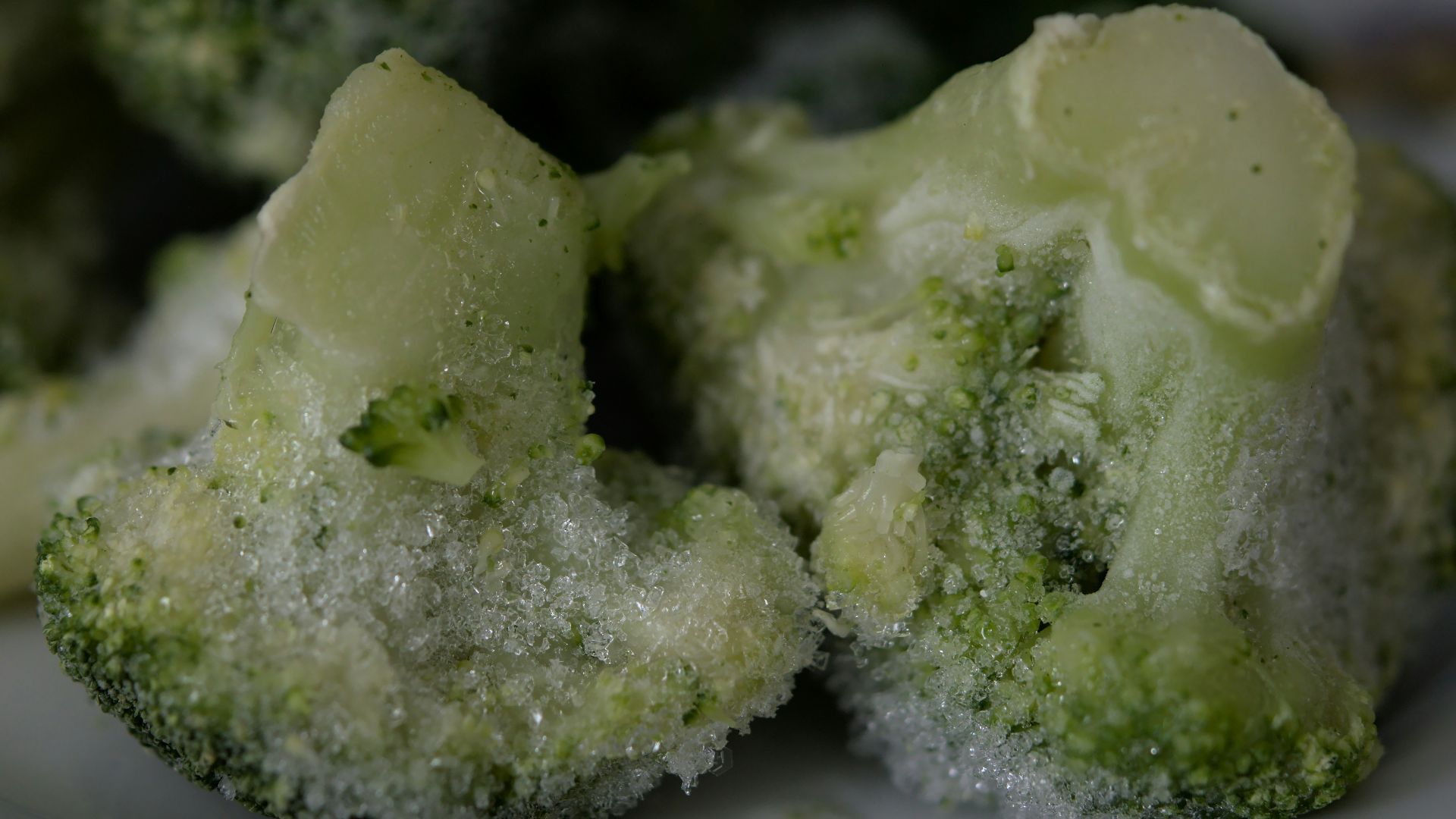 green and white food on white ceramic plate