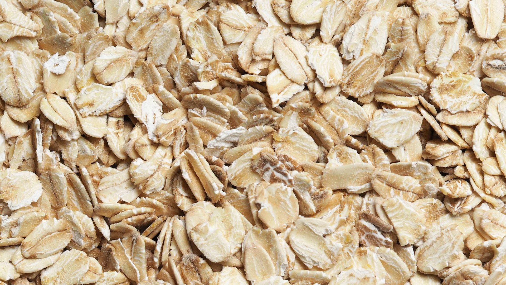 brown dried leaves on ground