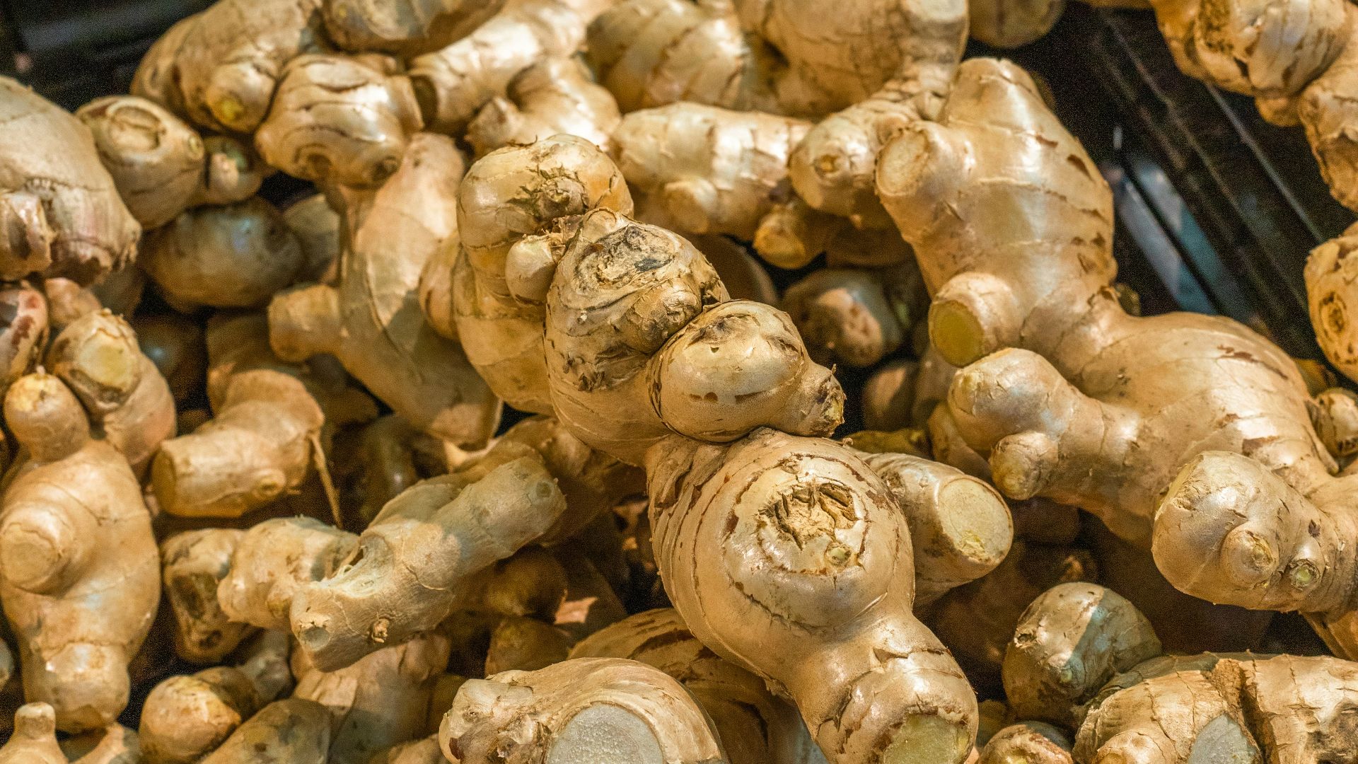 brown garlic on black plastic container