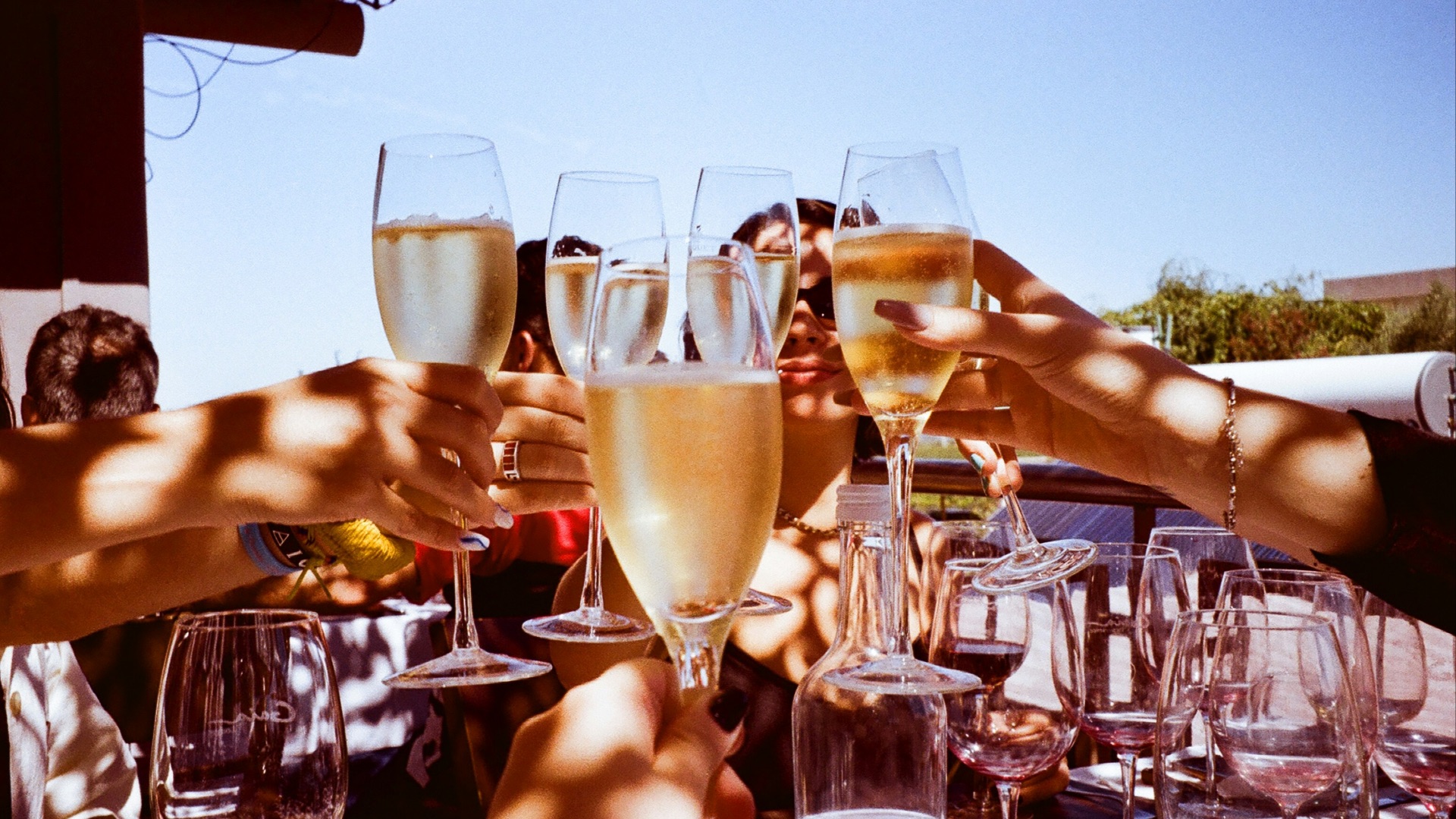 a group of people toasting with wine glasses