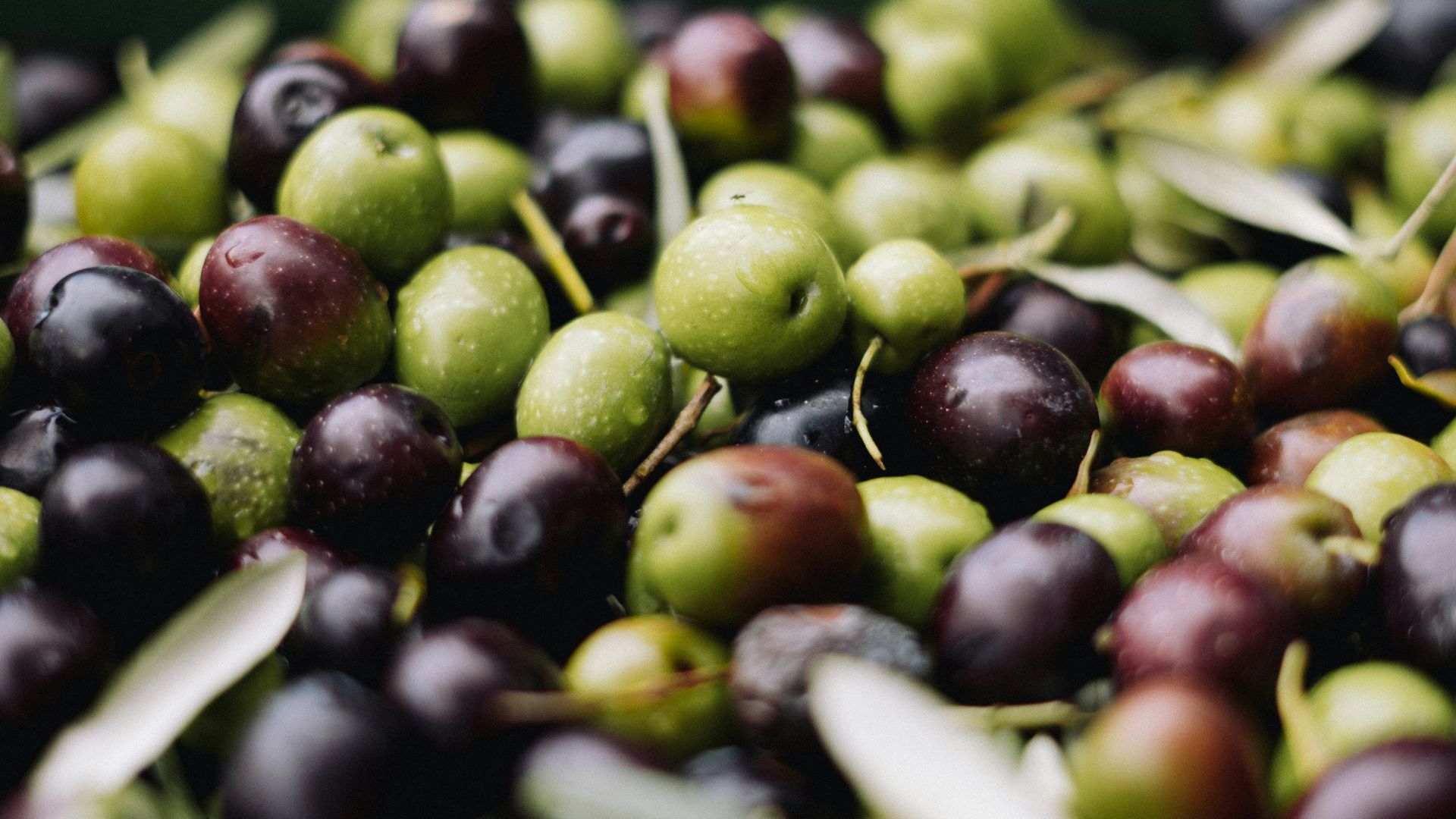 a pile of green and black olives sitting on top of each other