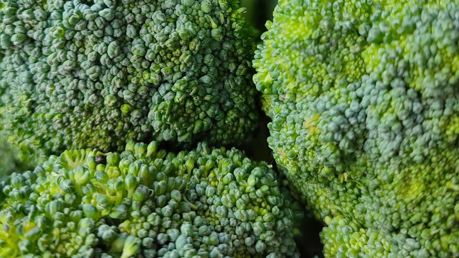 green broccoli in close up photography
