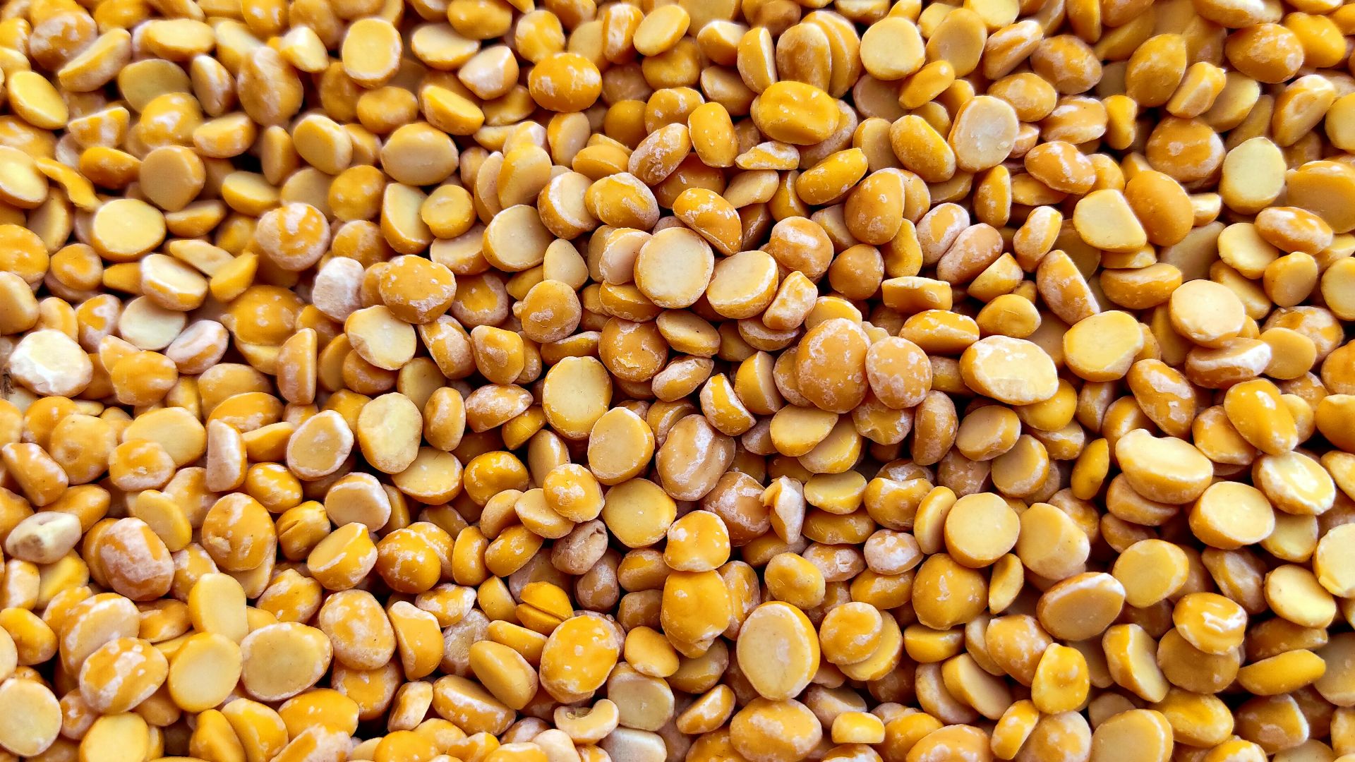 yellow and brown beans on brown wooden table