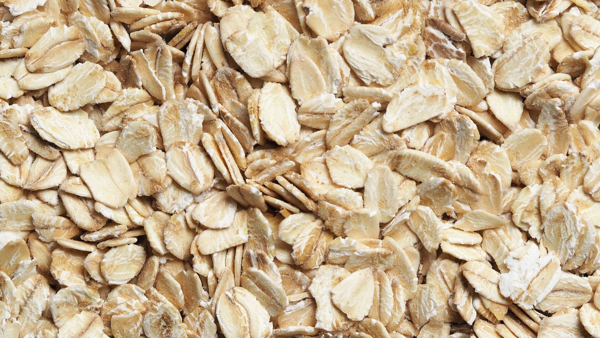 brown dried leaves on ground