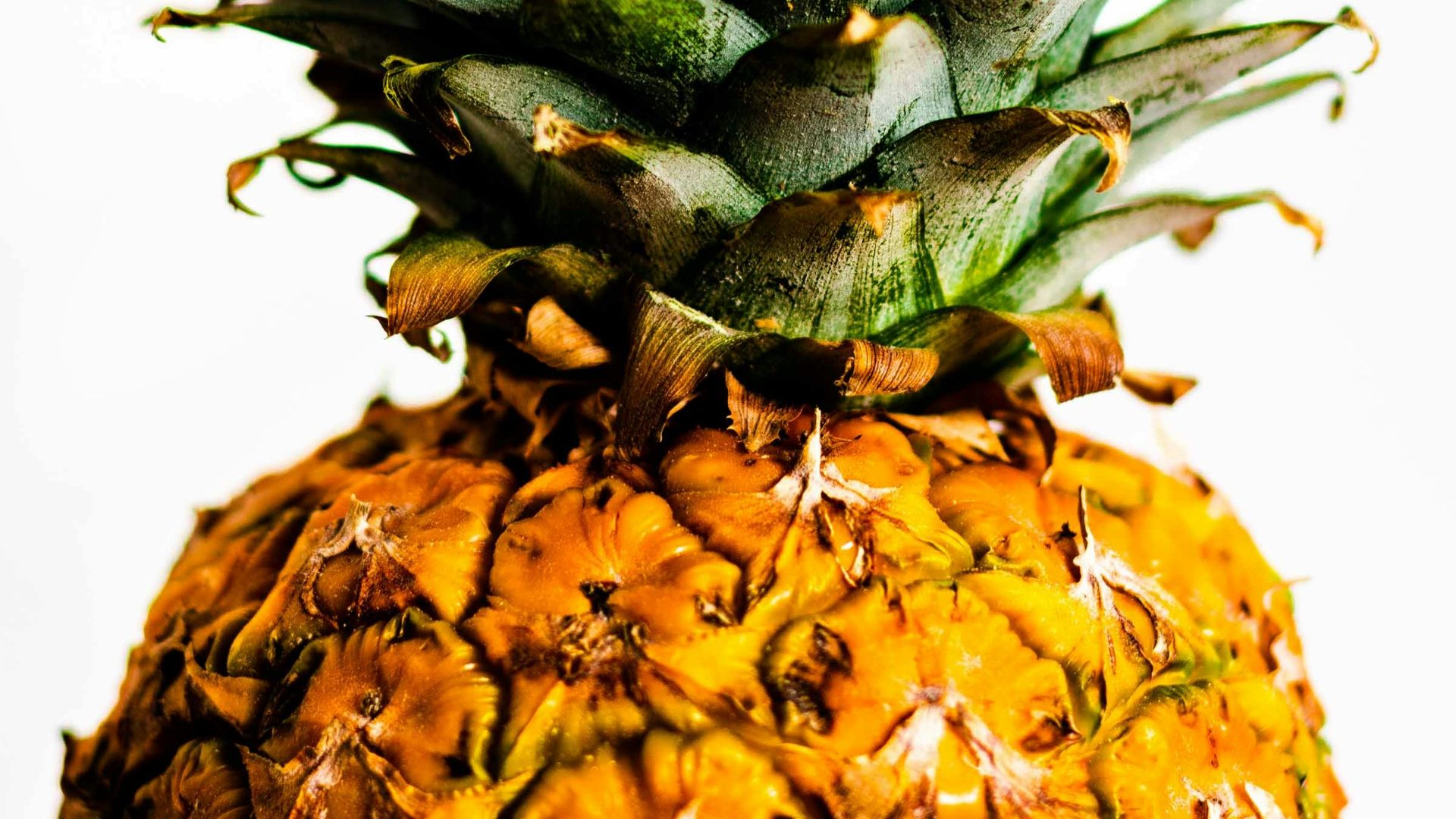 pineapple fruit