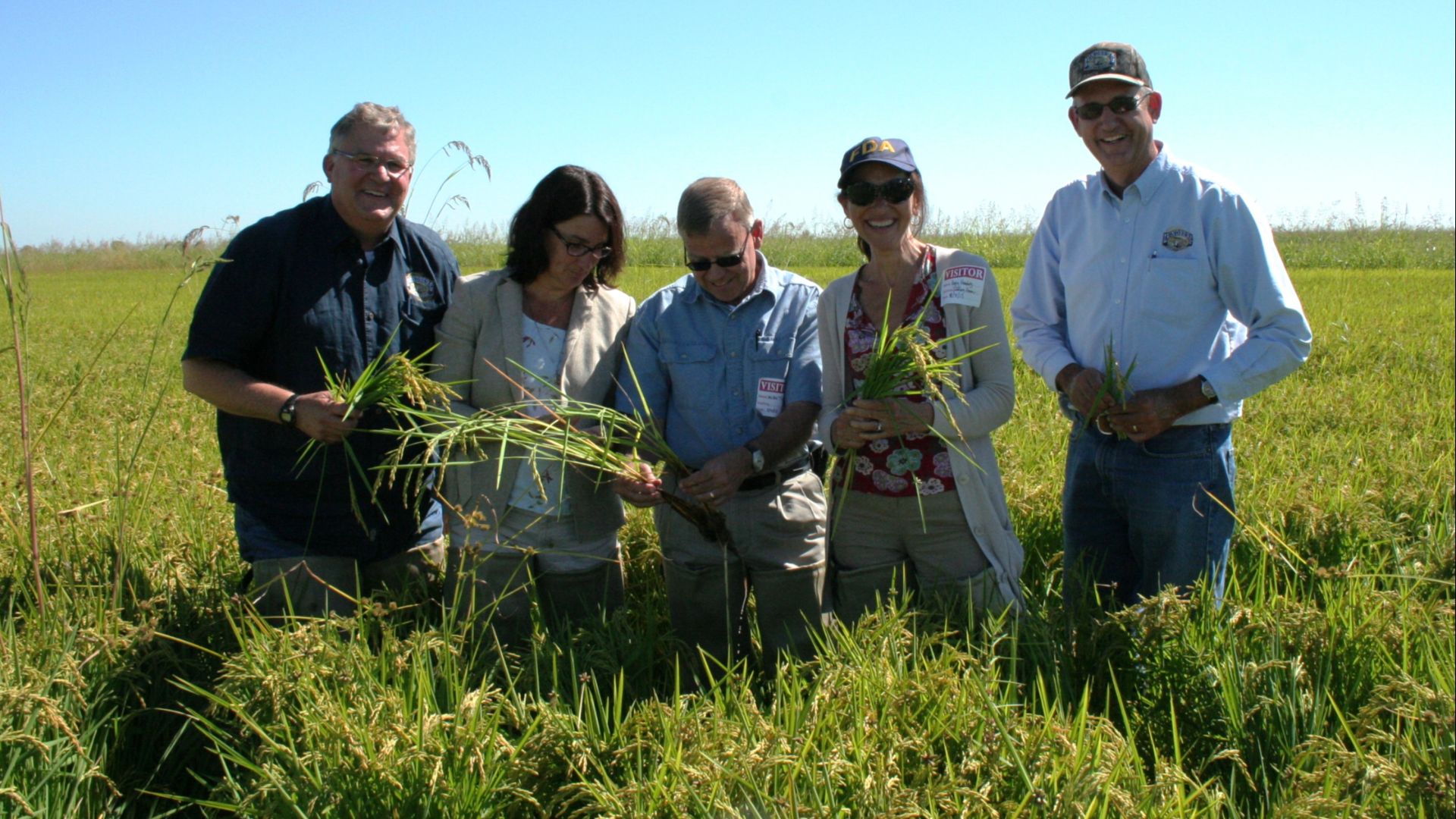 File:FDA's Rice Tour Looking for Insights on Arsenic (0868) (9684318279).jpg