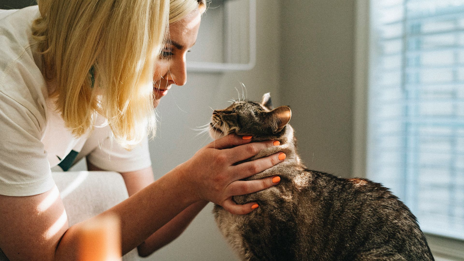 woman in white shirt holding brown tabby cat