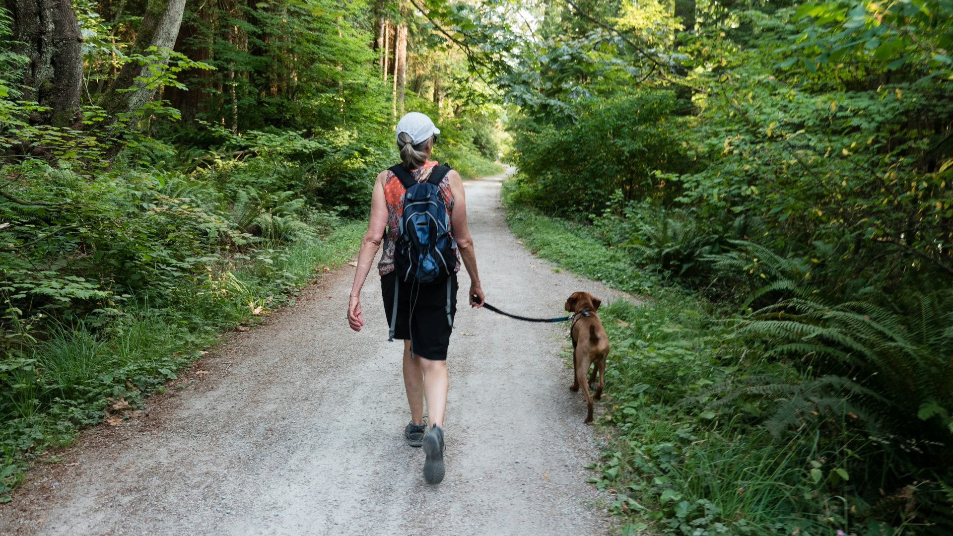 2 women walking on road with brown dog during daytime