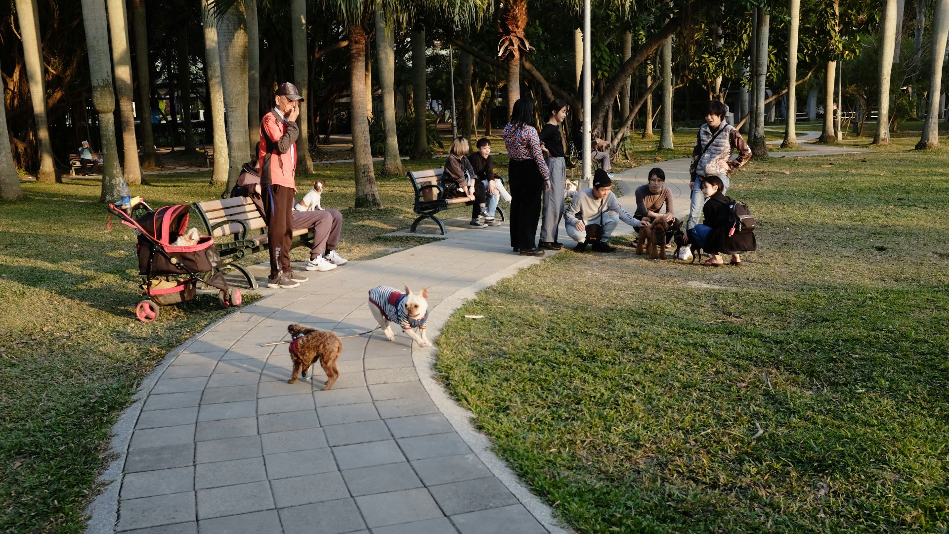 people sitting on green grass field during daytime