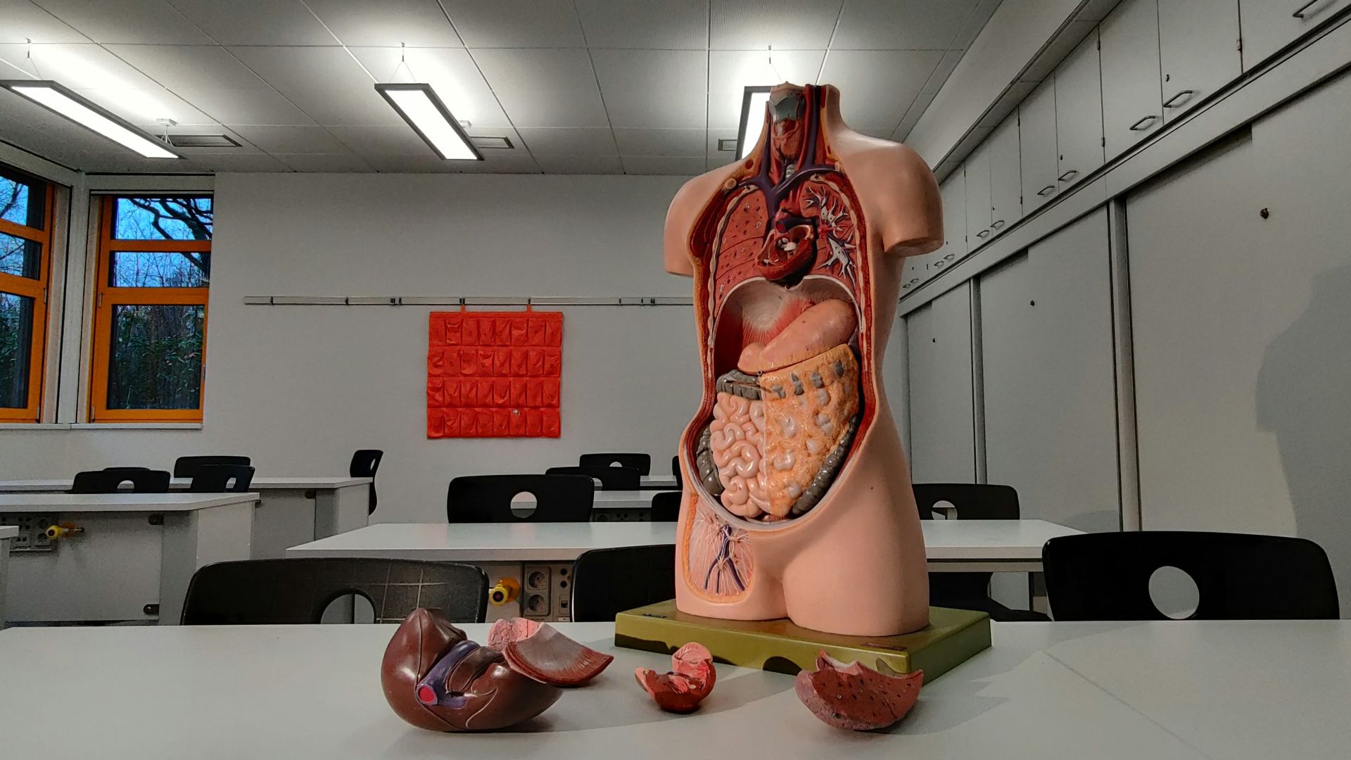 brown and beige floral boots