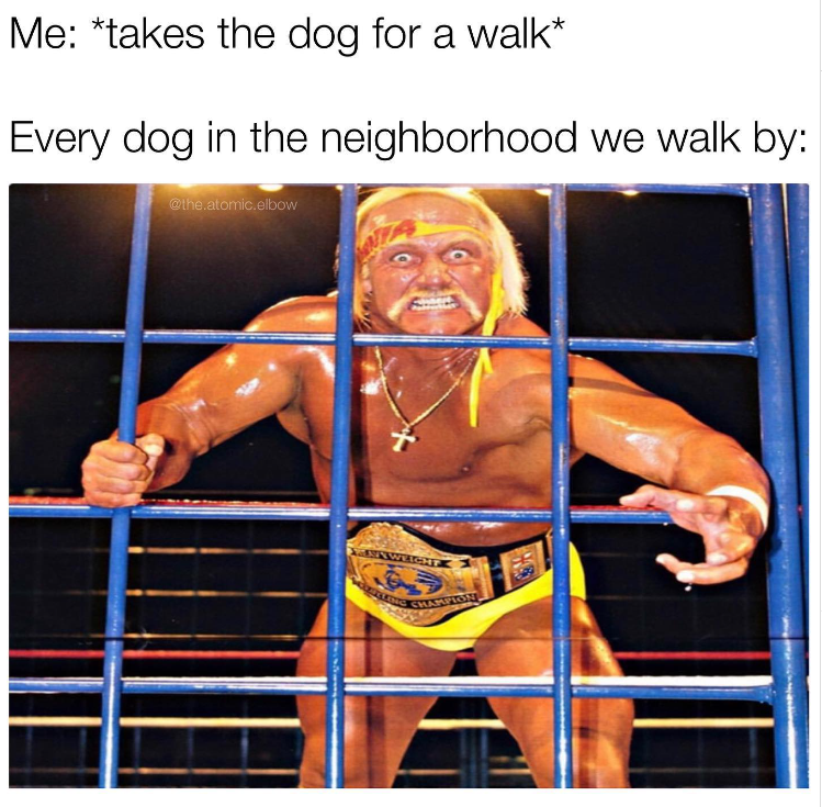 1697486322951.png