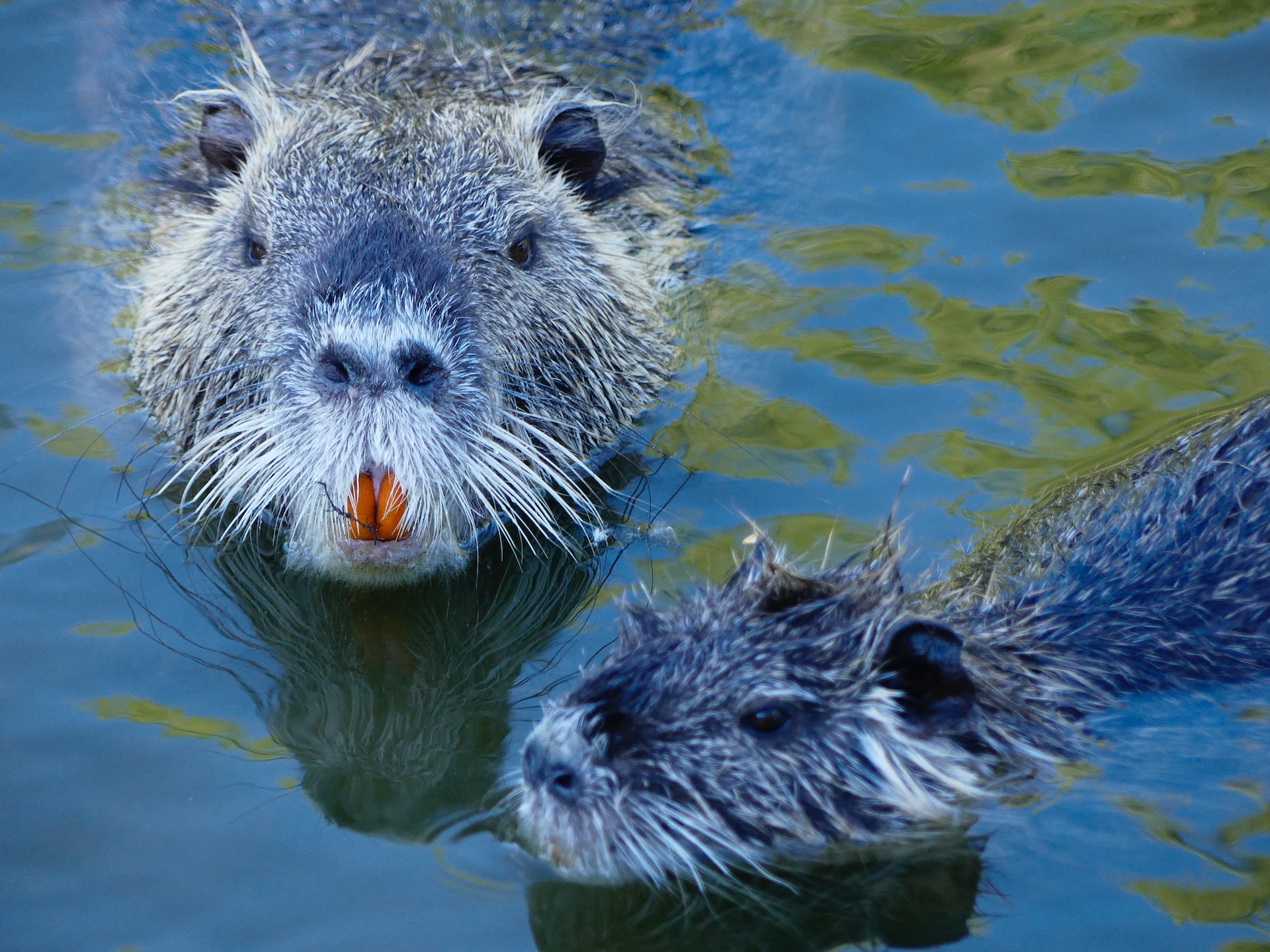 Sempre-Dilunedi-4Eljko6Lzq8-Unsplash