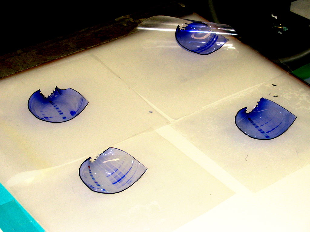 1024Px-Shrink Gels - (1)