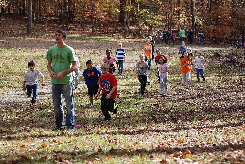1024Px-Hemlock Overlook - Red Light Green Light - 04