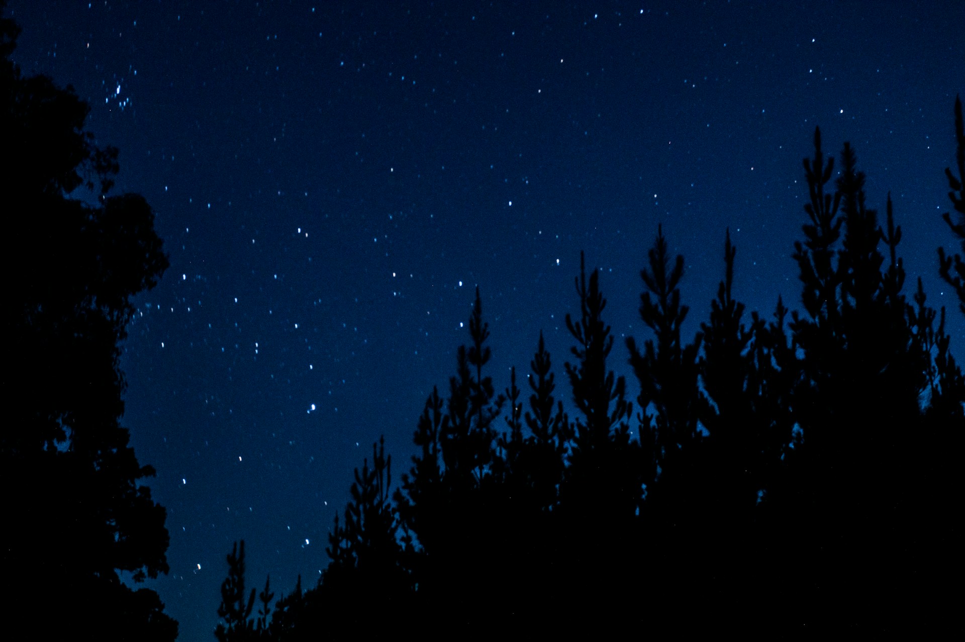 Akhil-Lincoln-So94Qn81Fyi-Unsplash