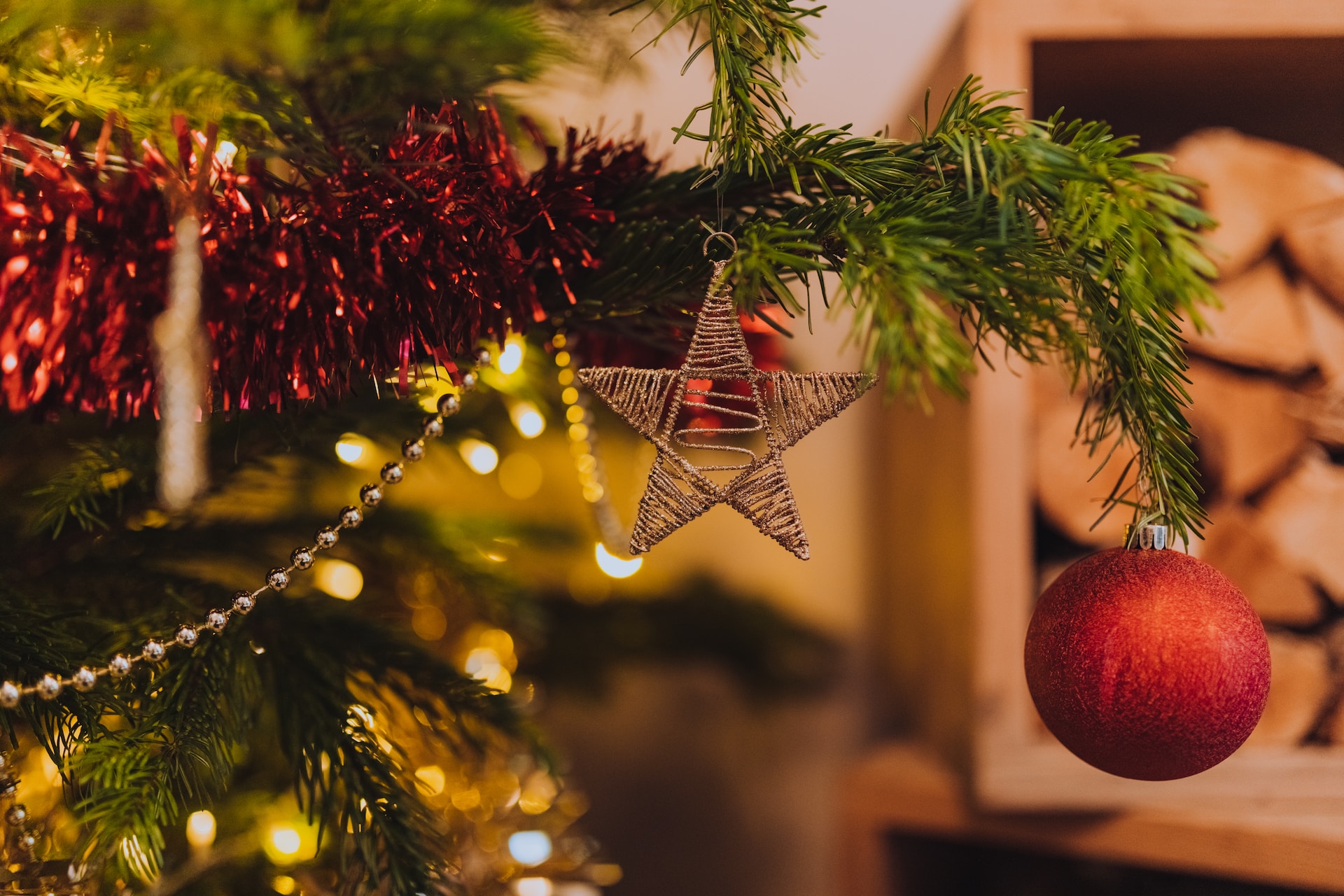 Andy-Holmes-Tnlwvhqrrrw-Unsplash