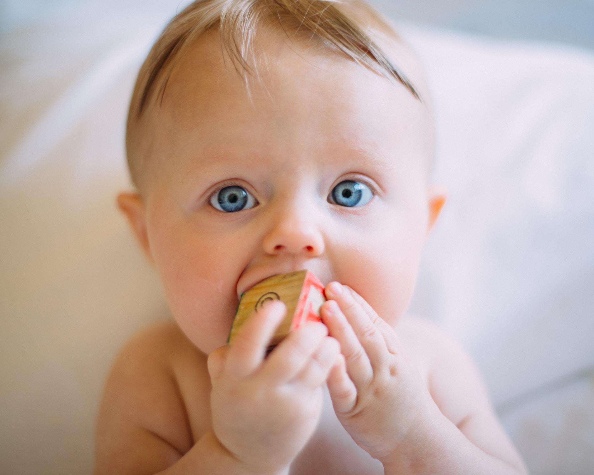 Colin-Maynard-Ceehmagpyze-Unsplash
