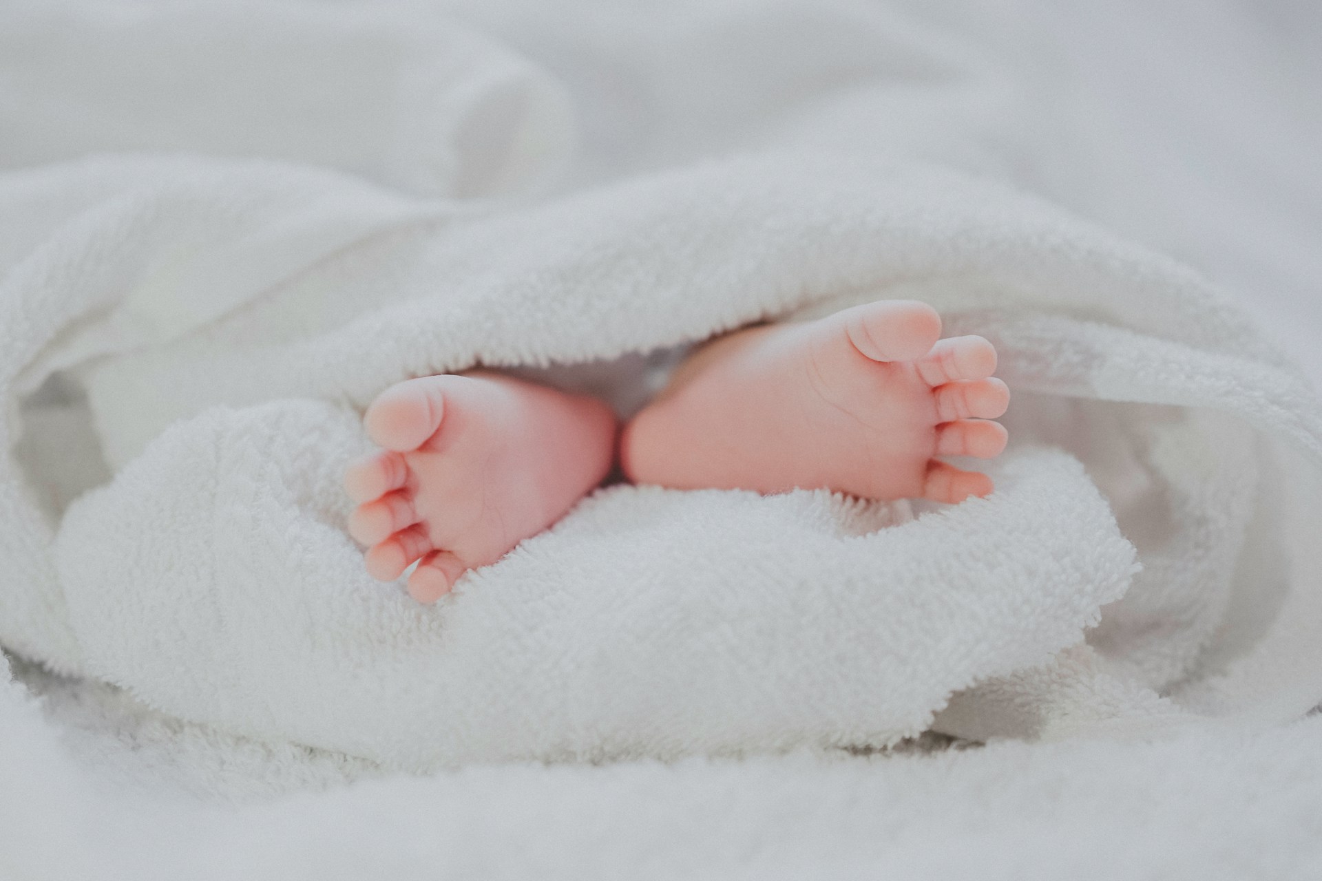 Fe-Ngo-Bvx3G7Rkots-Unsplash
