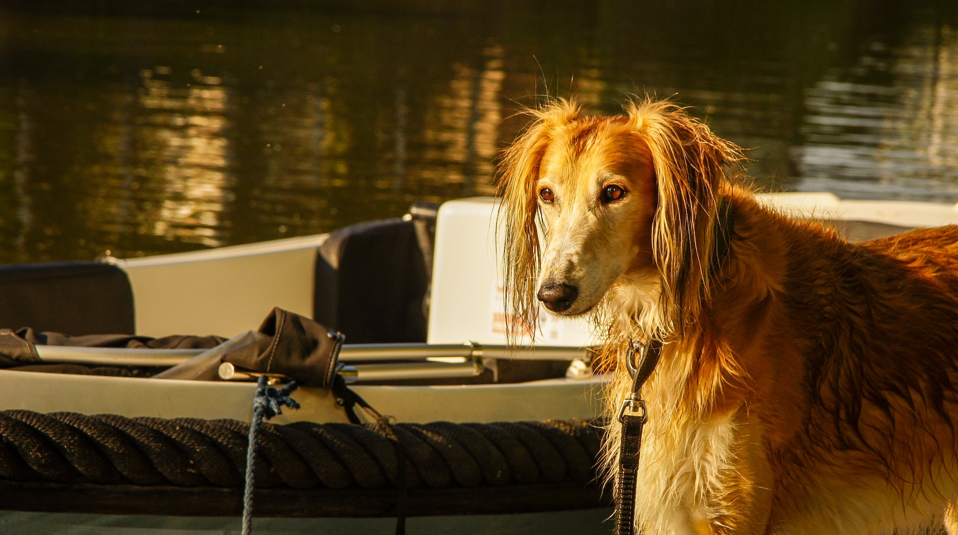 Geike-Verniers-0B3Xufyejfg-Unsplash