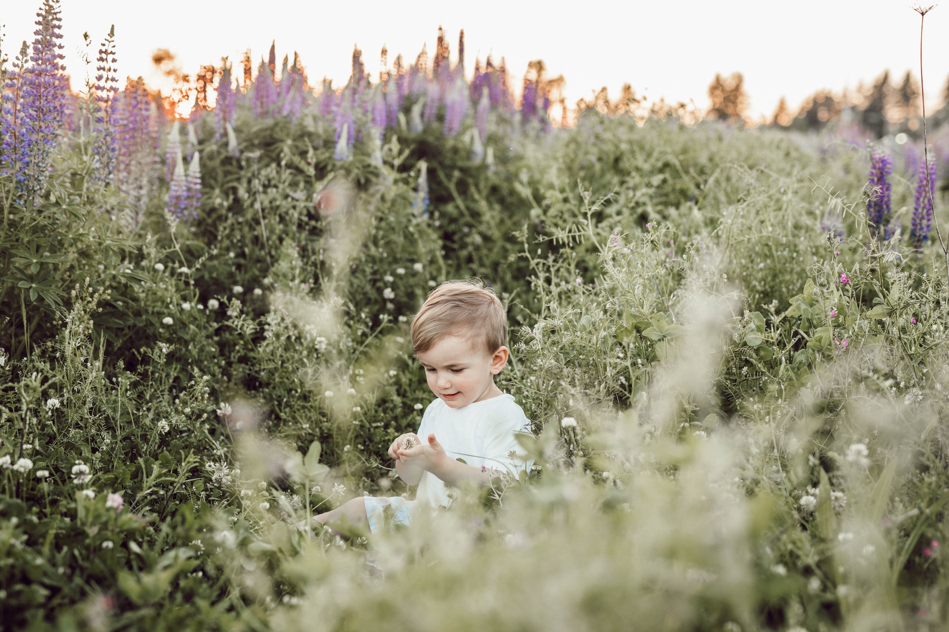 Liana-Mikah-T2Odoowyqwi-Unsplash