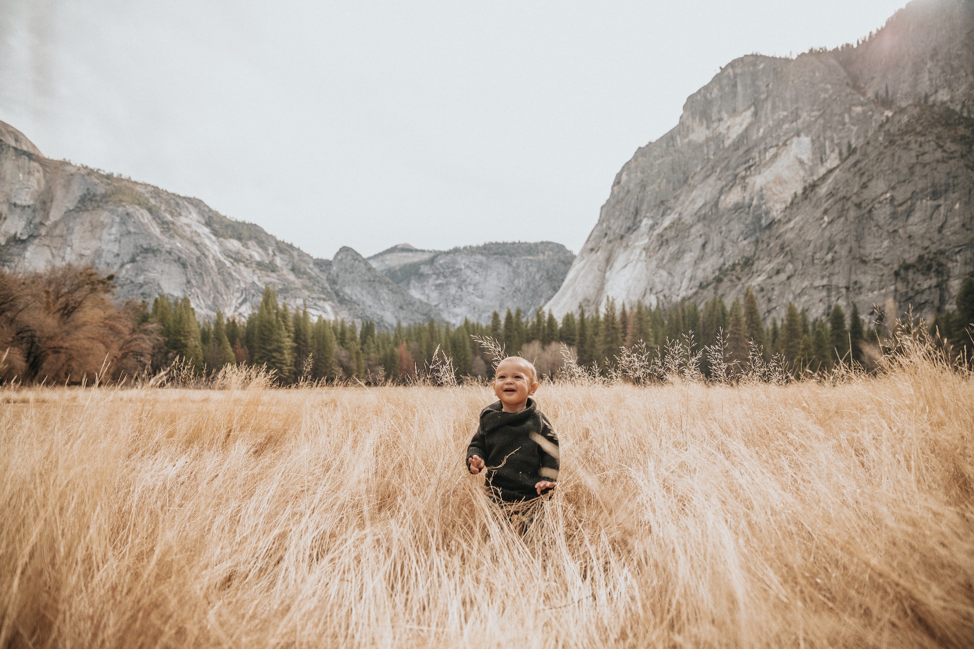 Nathan-Dumlao-0Kwihr00Bjo-Unsplash
