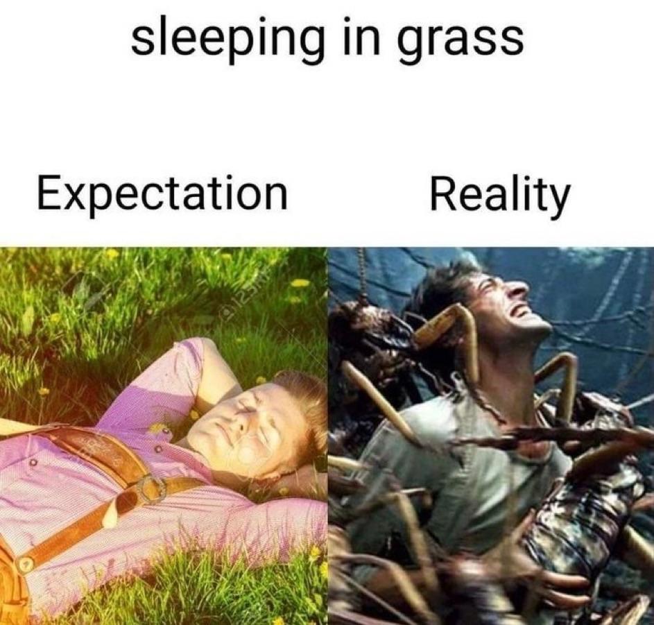 6q3cqzp4n3yb1.jpg