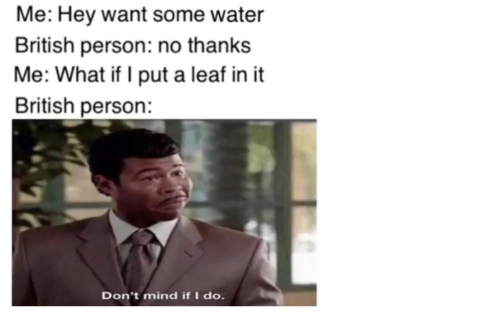 ed8e59c1p3yb1.jpg