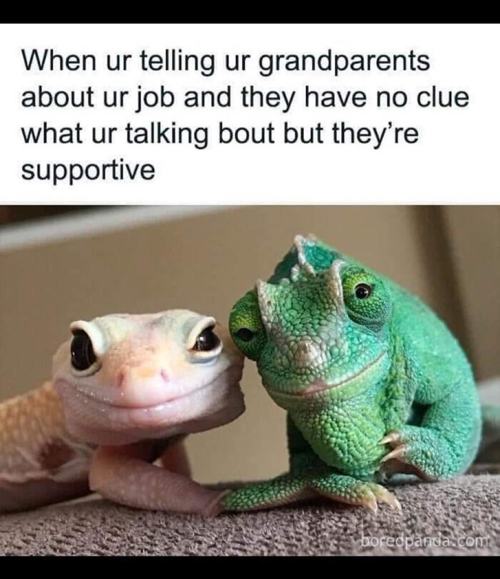 gmjw2nusb2yb1.jpg