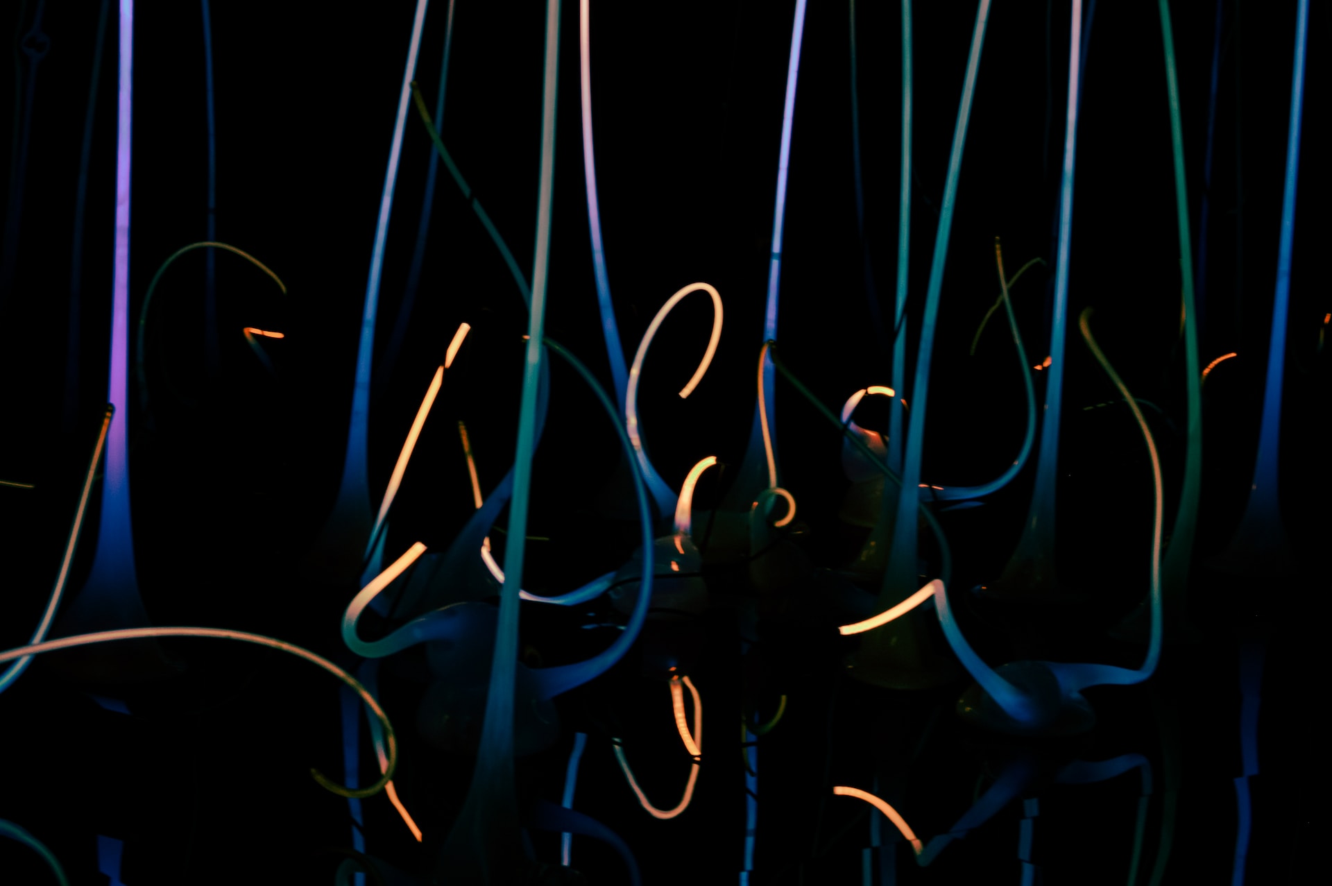 Kalea-Morgan-Hwofuvemnsc-Unsplash