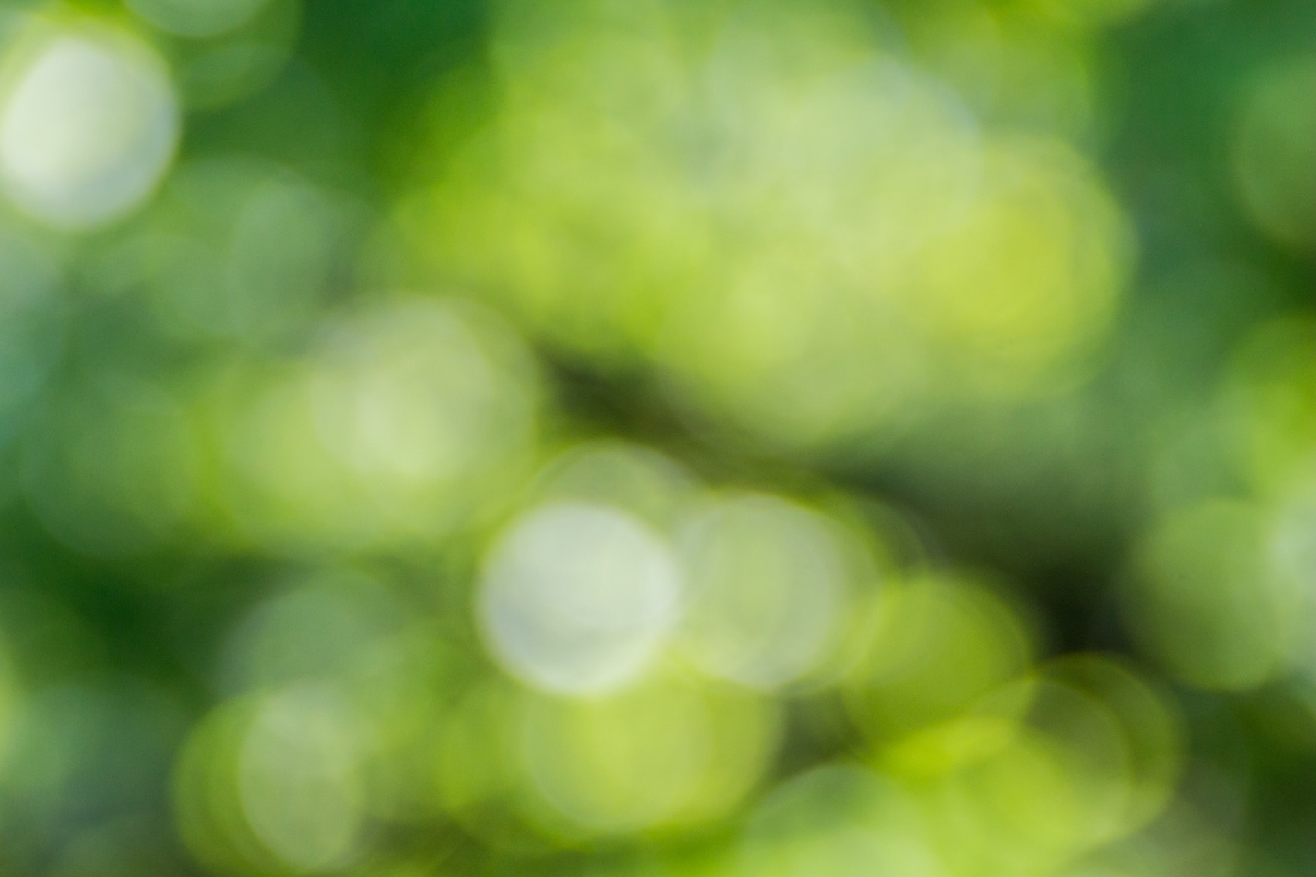Artur-Luczka-Loafovk1Enc-Unsplash