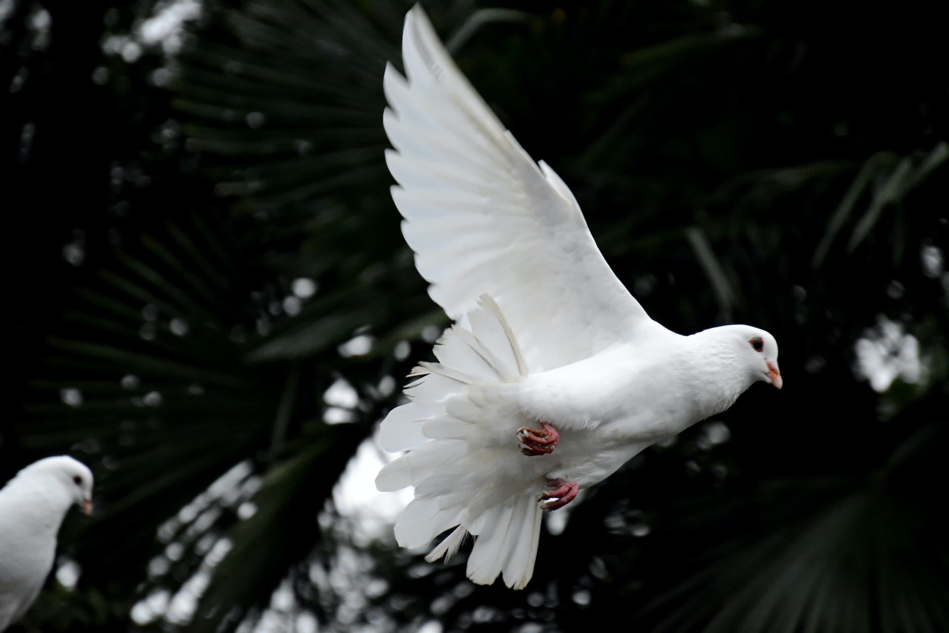 Awmleer-6Xczimmkngq-Unsplash