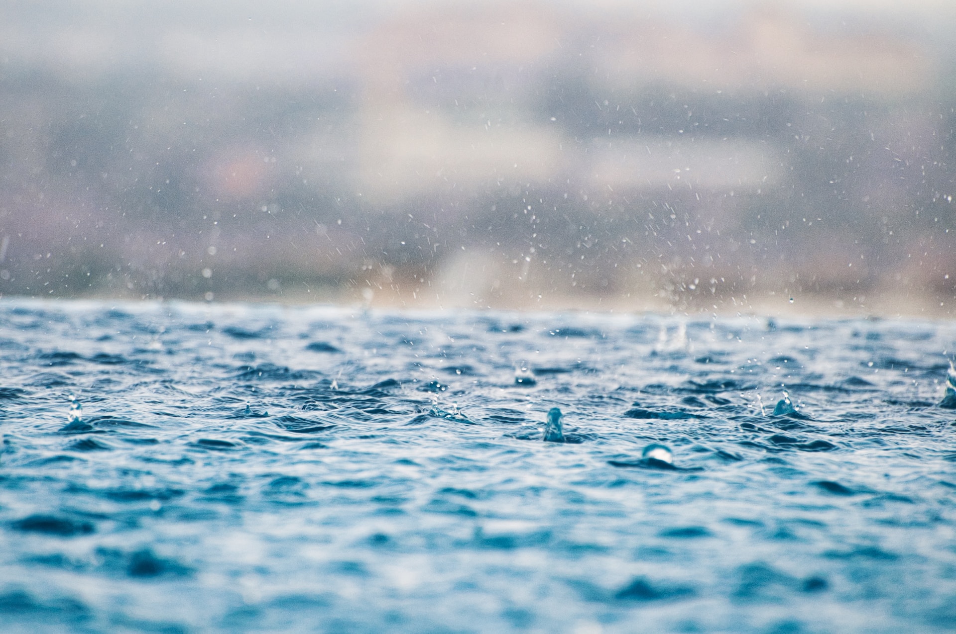 Max-22X7Fxfpl 8-Unsplash