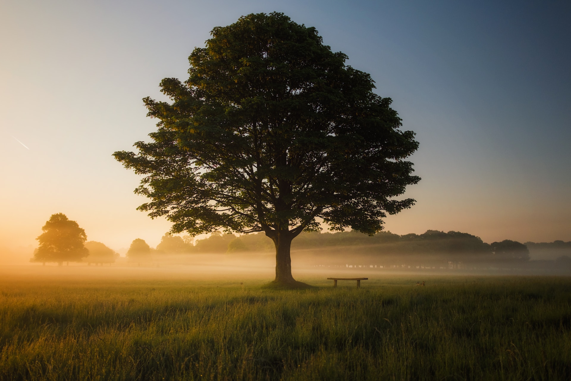 Simon-Wilkes-S297J2Csdlm-Unsplash