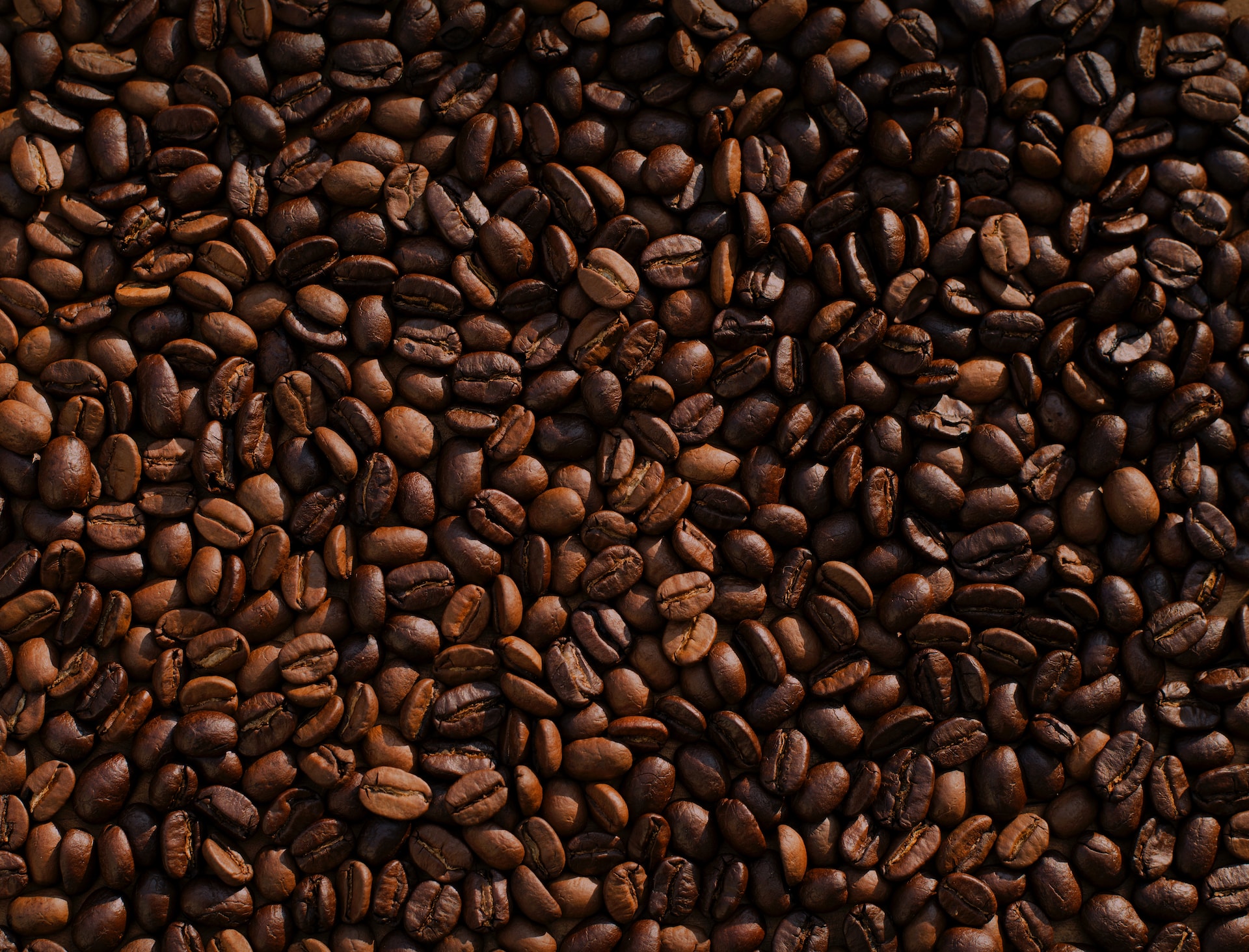 Mike-Kenneally-Td4Dbagg2We-Unsplash
