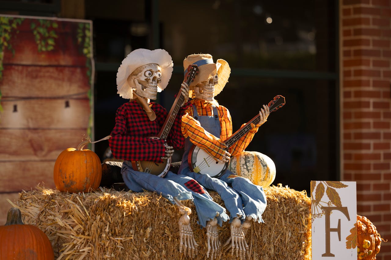 Pexels-Stephen-Leonardi-587681991-28999857