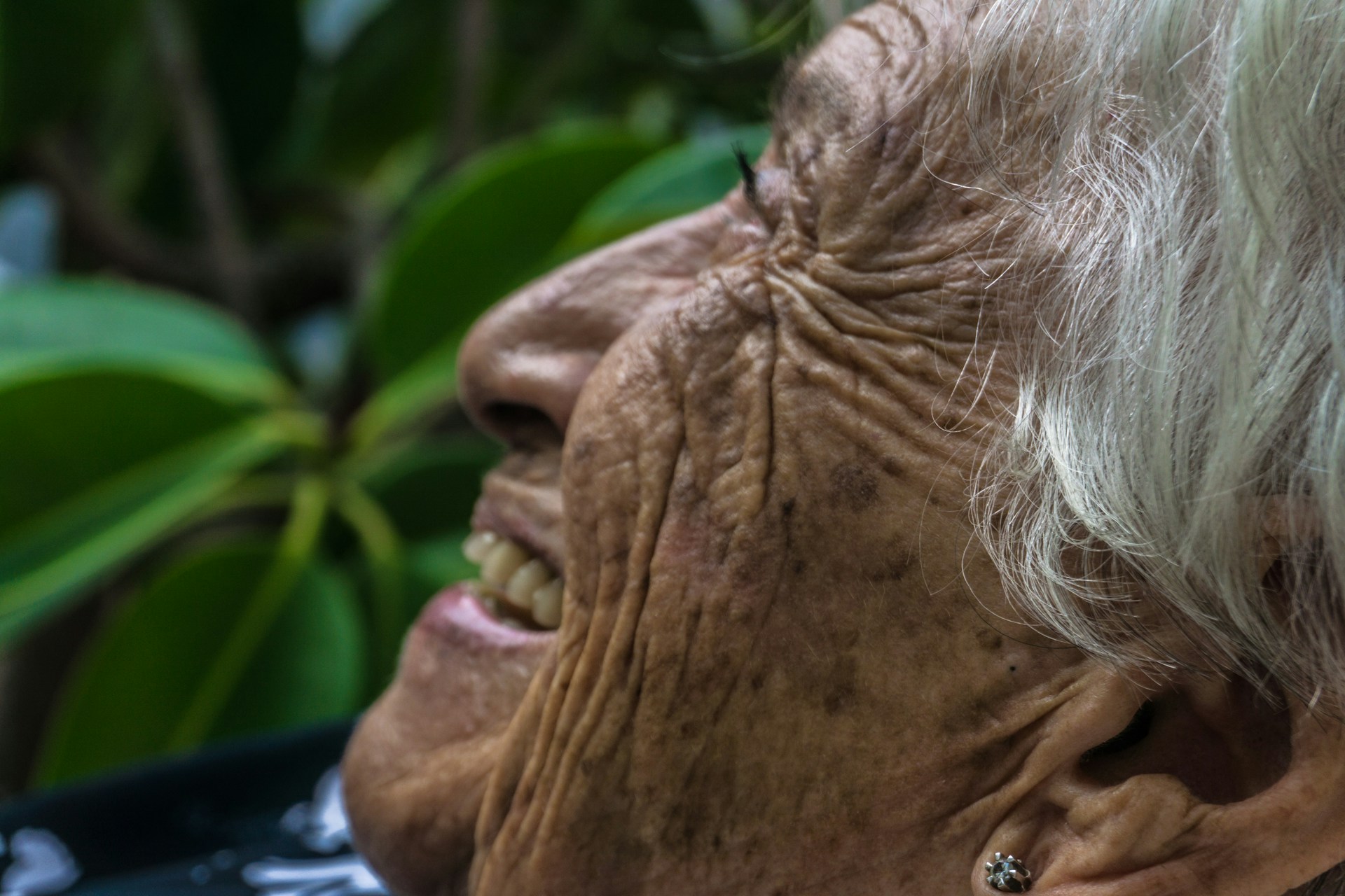 Guille-Alvarez-Tjhu6Rzuqoc-Unsplash