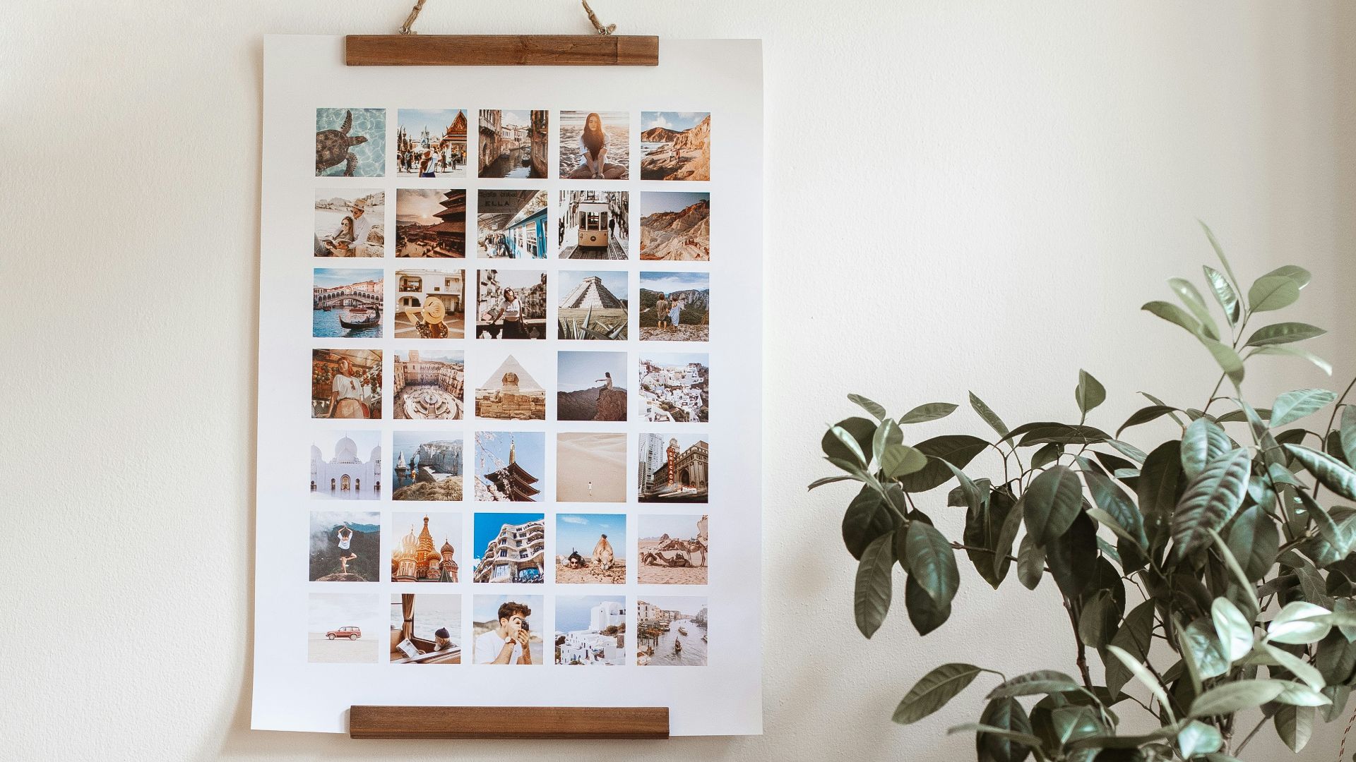 a sewing machine and a potted plant on a table